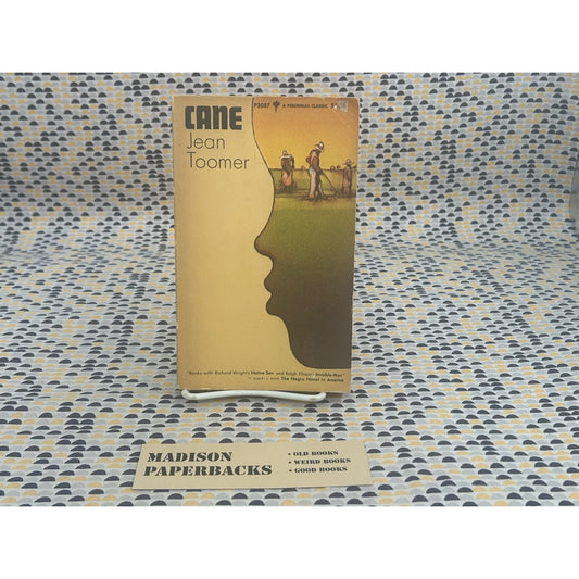 Cane - Jean Paul Toomer - Vintage Paperback Book- Perennial / Harper & Row Edition