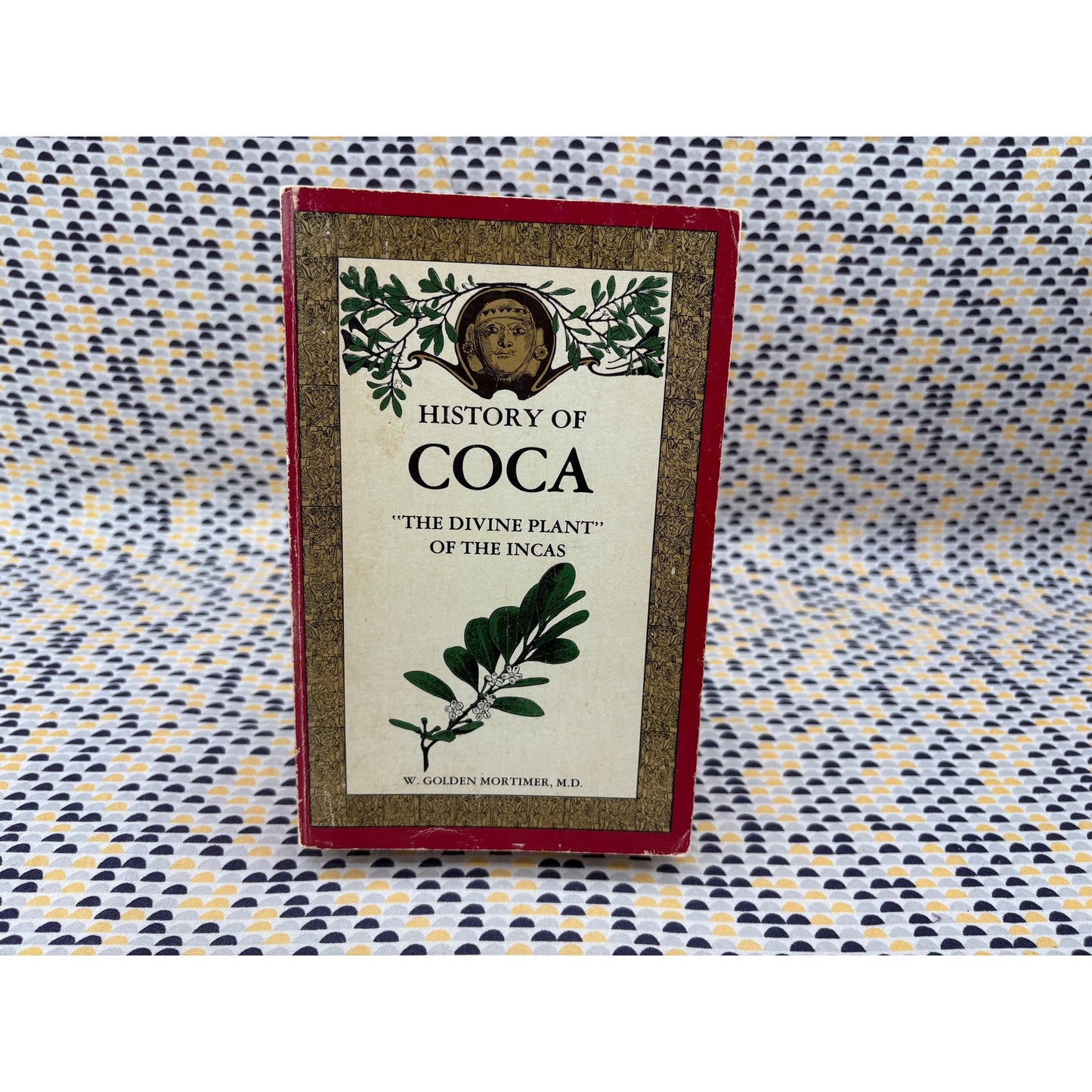 History Of Coca - W. Golden Mortimer - Fitz Hugh Ludlow - Paperback