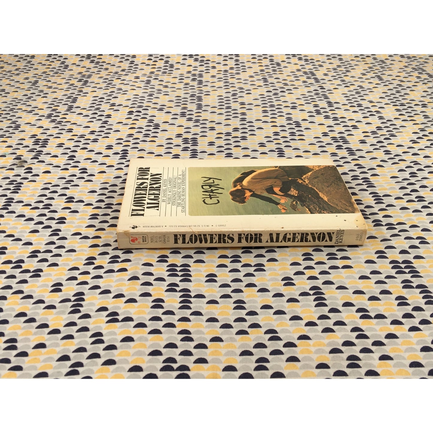 Flowers for Algernon - Daniel Keyes - Bantam Books - Paperback