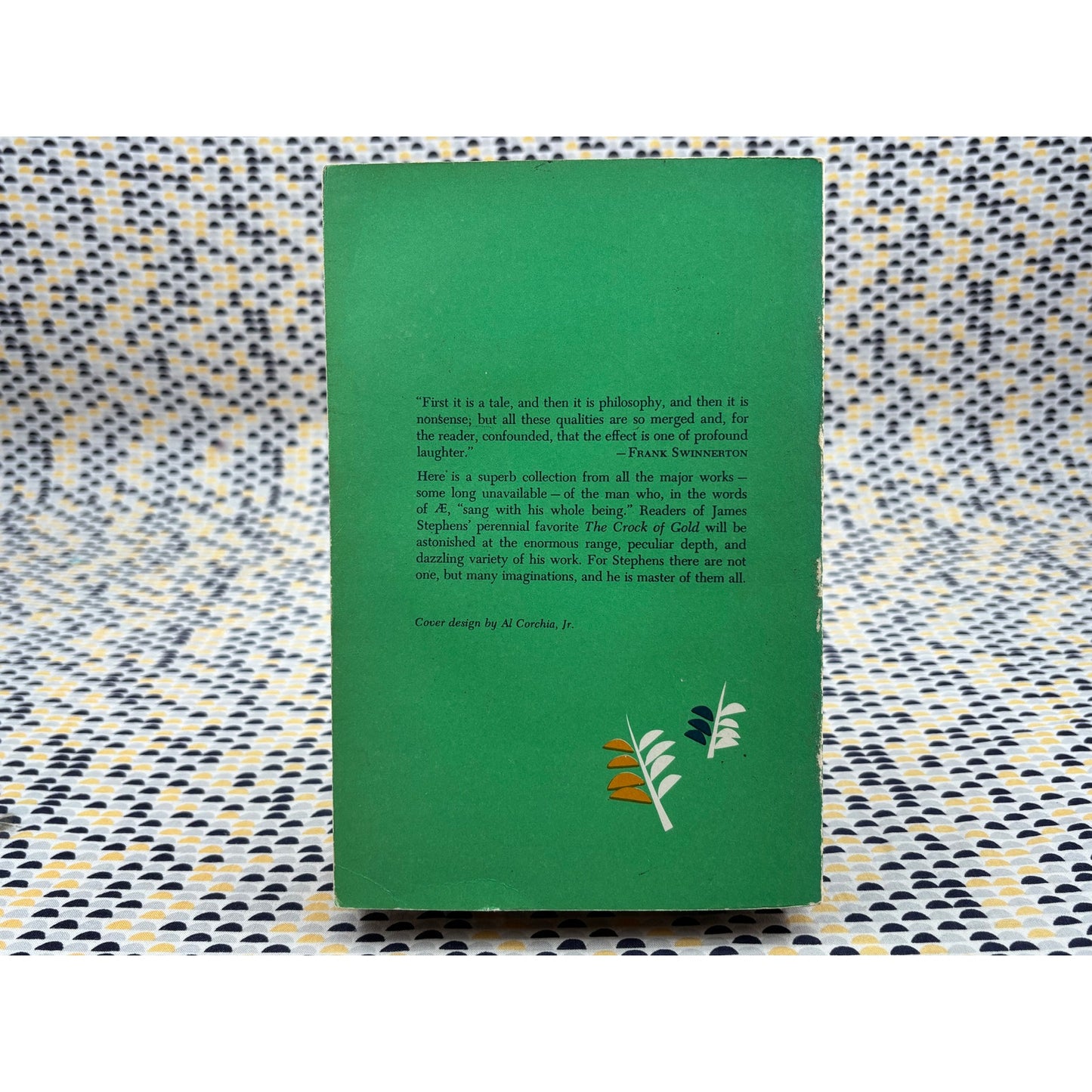 A James Stephens Reader - Macmillan - Paperback