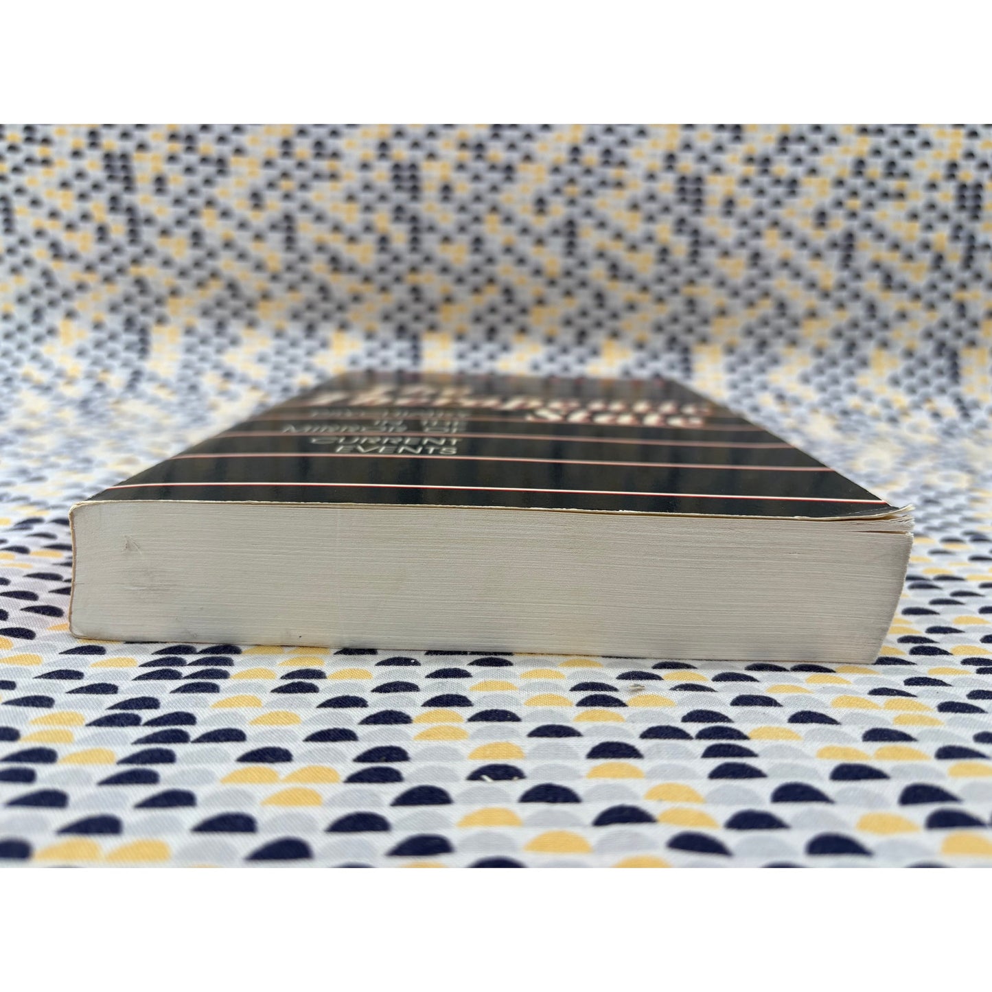 The Therapeutic State - Thomas Szasz - Prometheus - Paperback