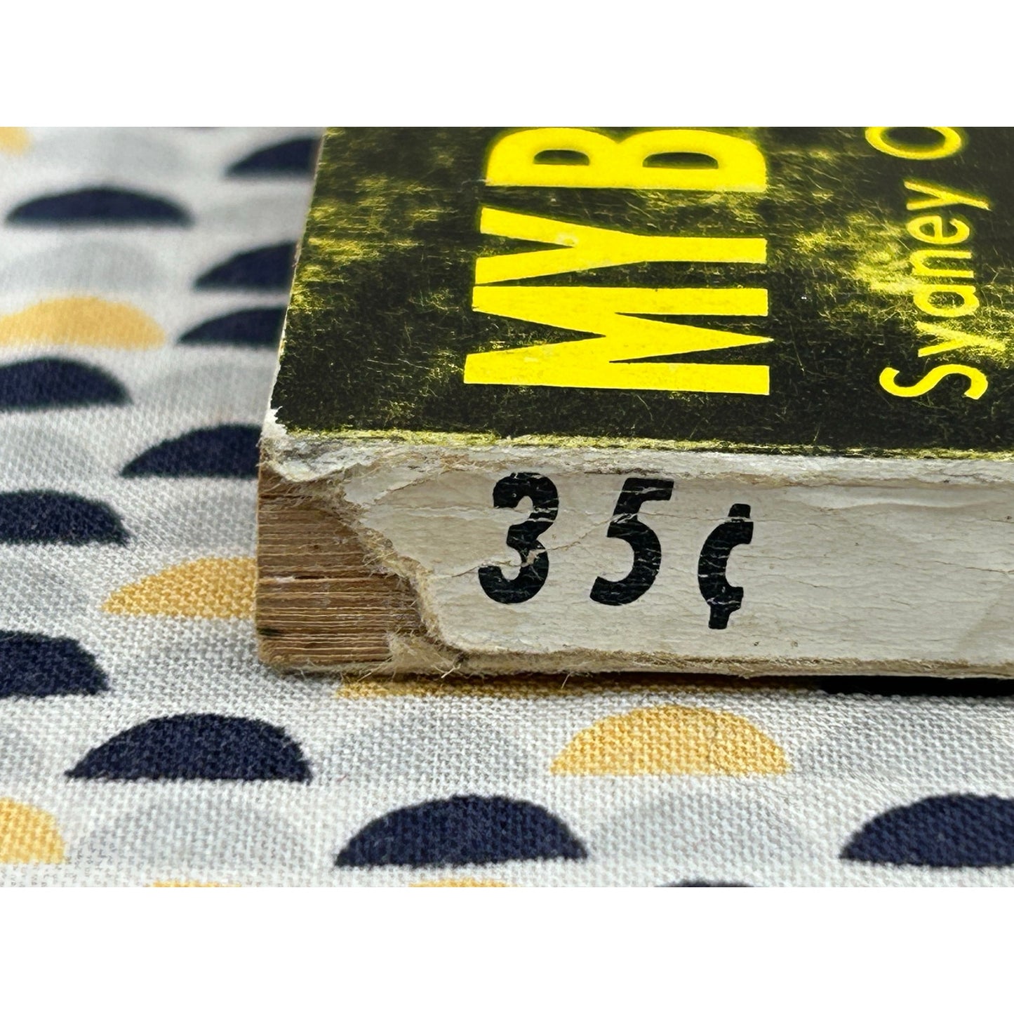My Bed Has Echoes - Sydney Omarr - Fabian Books - Sleaze - Vintage Paperbacks