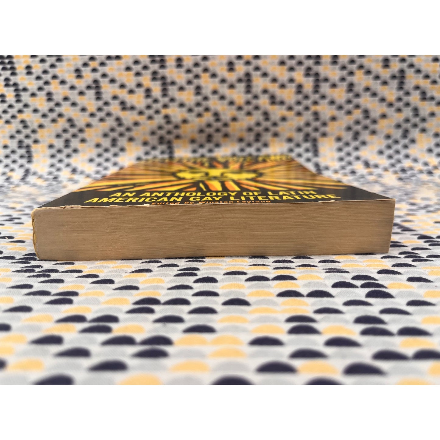 Now the Volcano - Ed. Winston Leyland - Gay Sunshine Press - Paperback