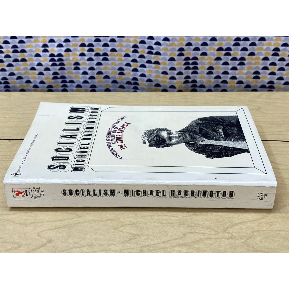Socialism - Michael Harrington - Vintage Paperback Book - Bantam Political Science Edition