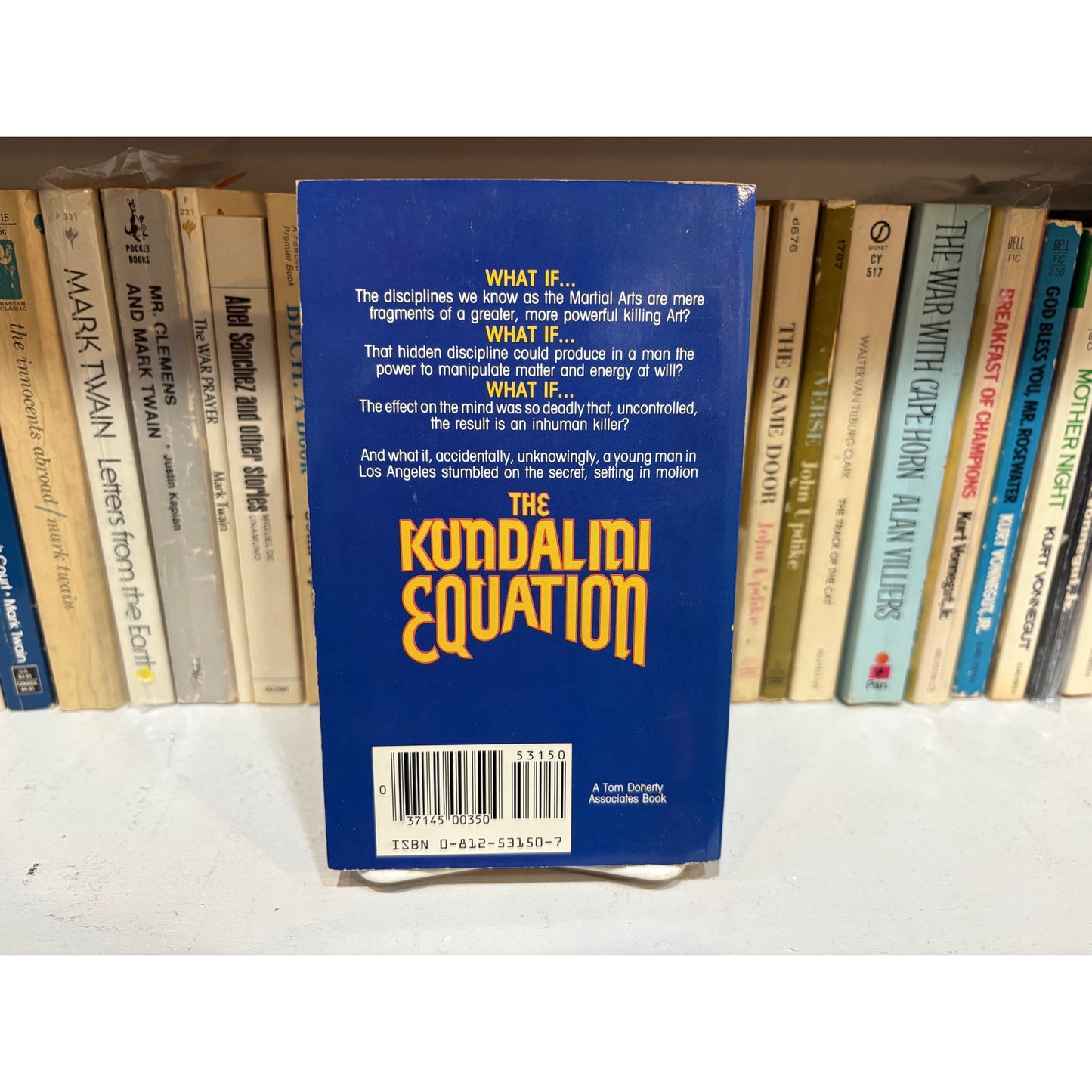 The Kundalini Equation - Steven Barnes - Tor - Paperback