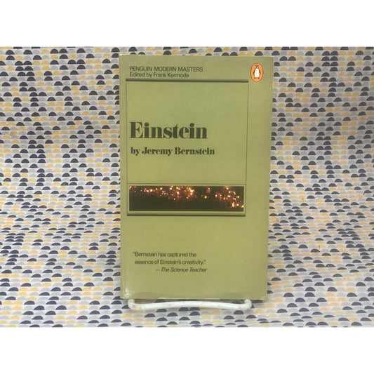 Einstein - Jeremy Bernstein - Vintage Paperback Book - Penguin Edition