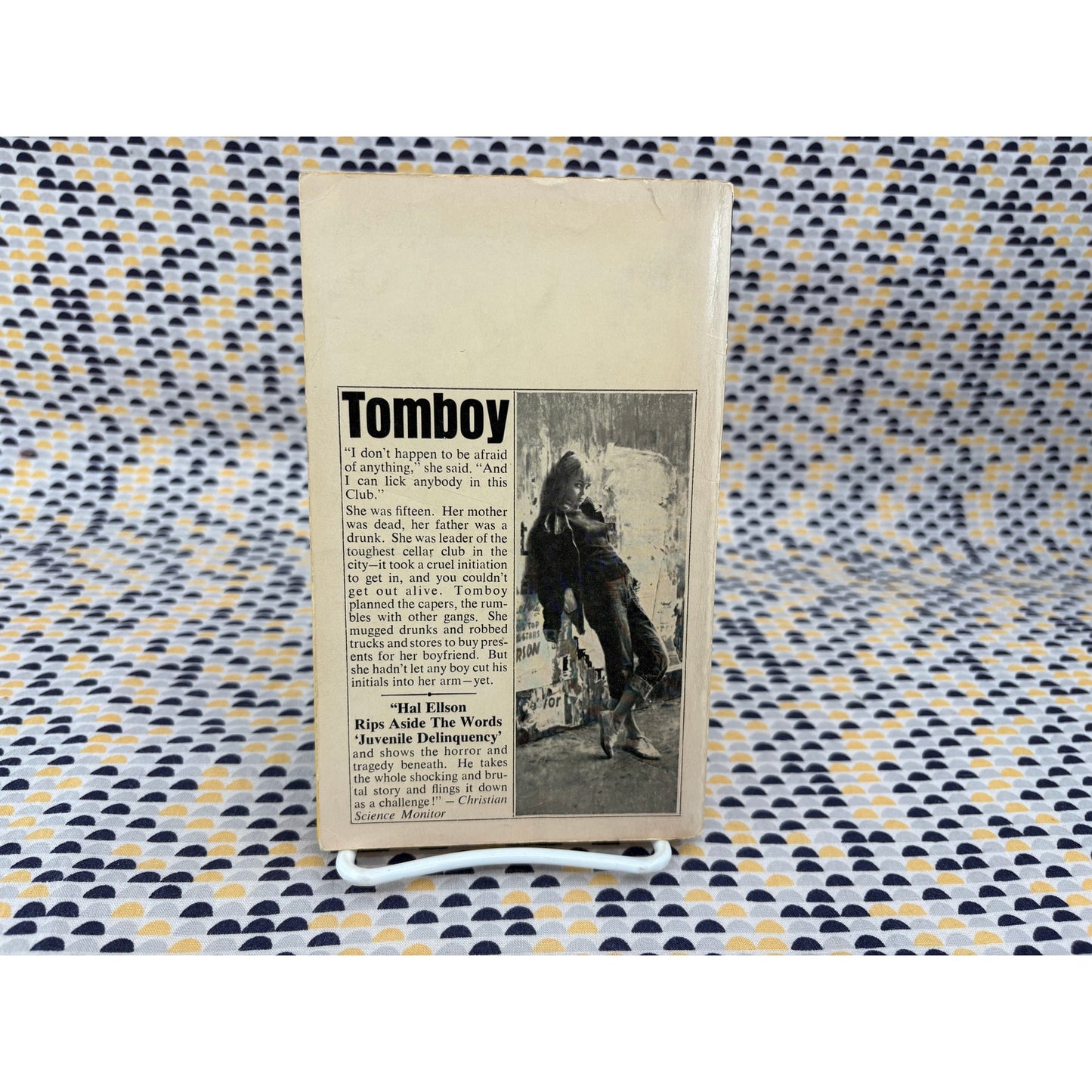 Tomboy - Hal Ellson - The Famous Novel of Juvenile Delinquency - Vintage Paperback Book - Bantam Edition