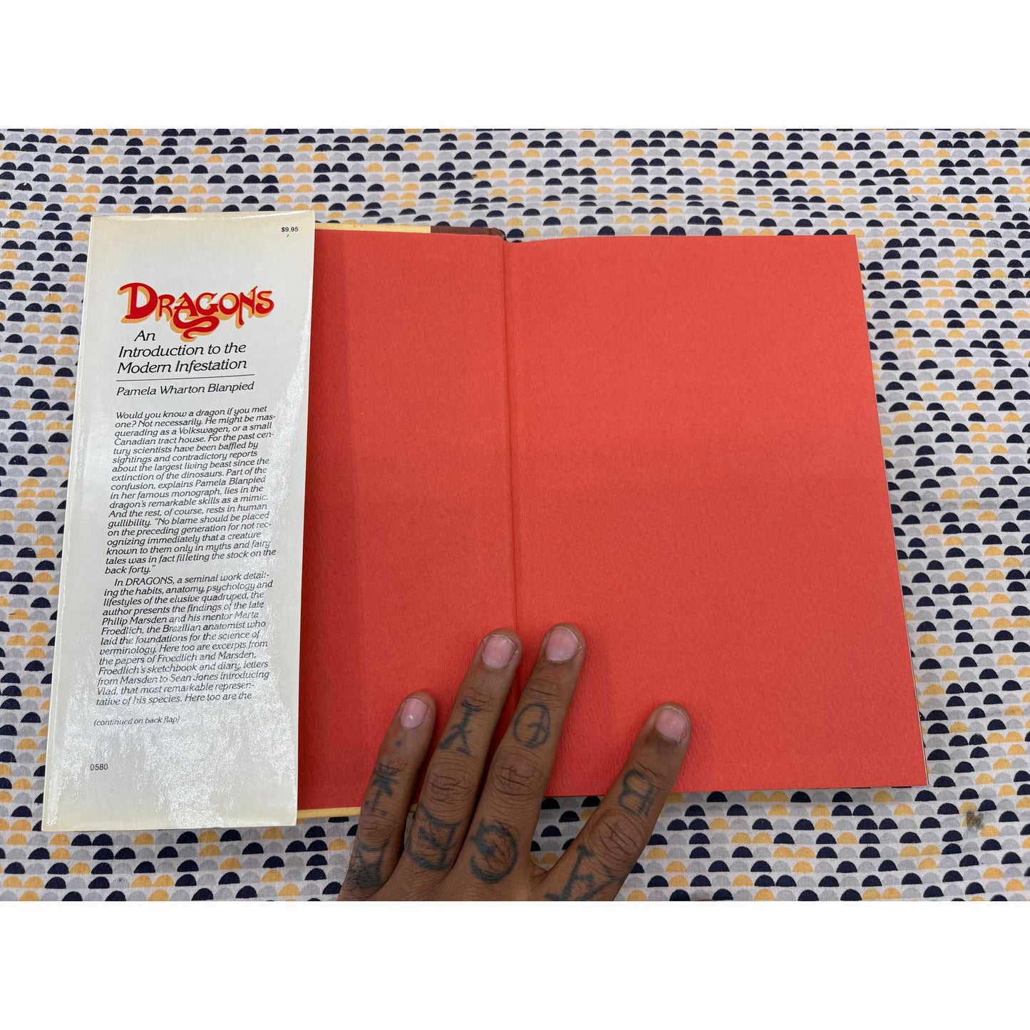 Dragons - Pamela Wharton Blanpied - Warner - Hardcover