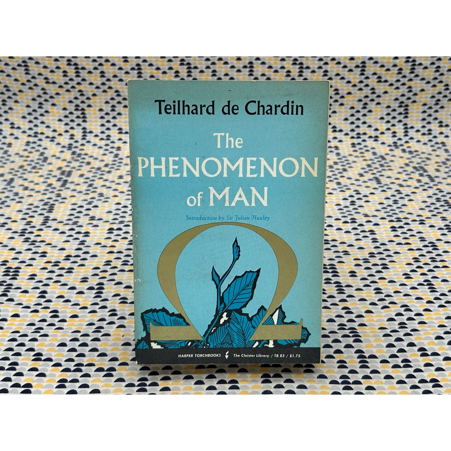 The Phenomenon Of Man - Pierre Teilhard de Chardin - Harper Torchbooks - Paperback