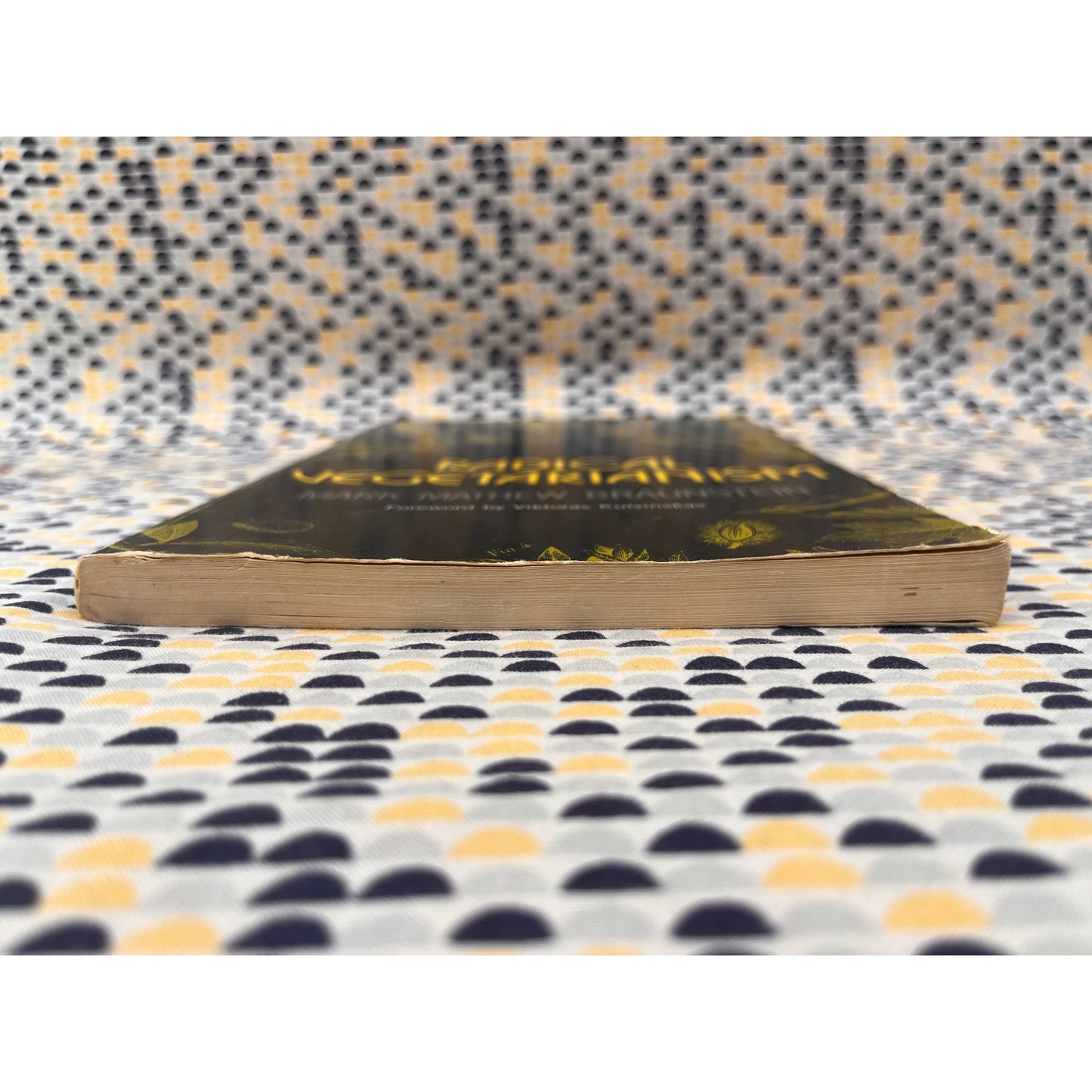 Radical Vegetarianism - Mark Mathew Braunstein - Panjandrum Books - Paperback