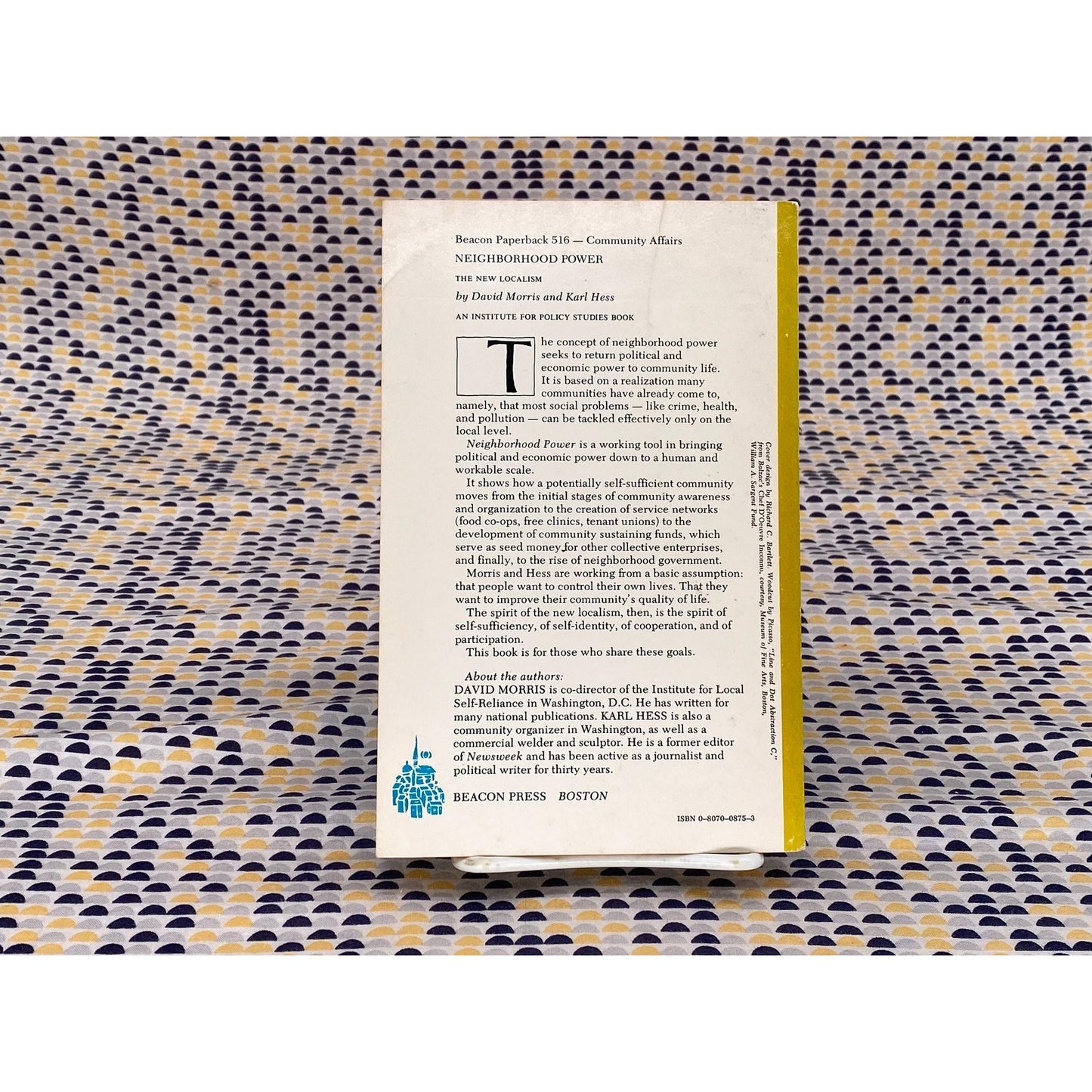 Neighborhood Power: The New Localism - David and Karl Morris and Hess - Vintage Paperback Book - Beacon Press Edition