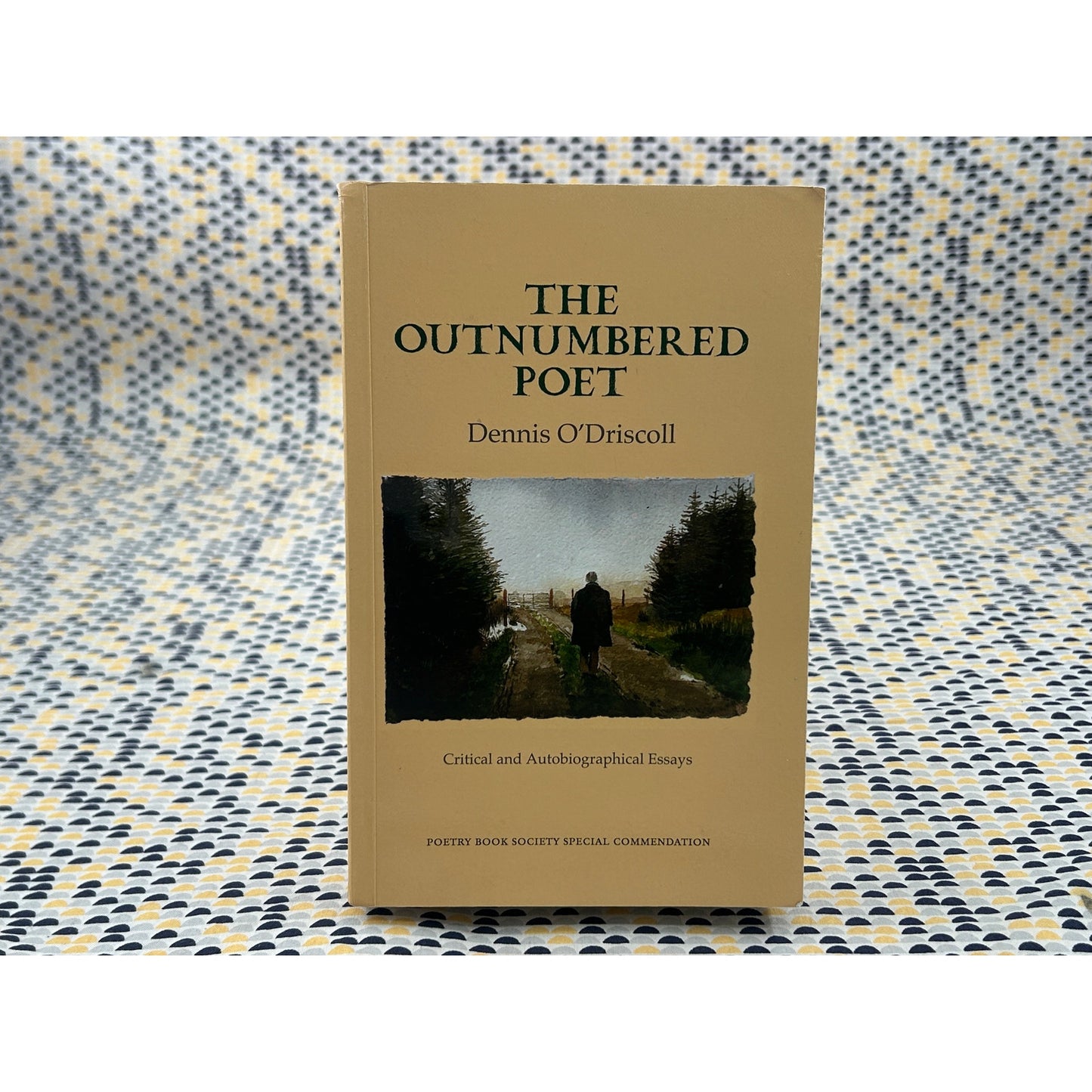 The Outnumbered Poet - Dennis O’Driscoll - Gallery Books - Paperback