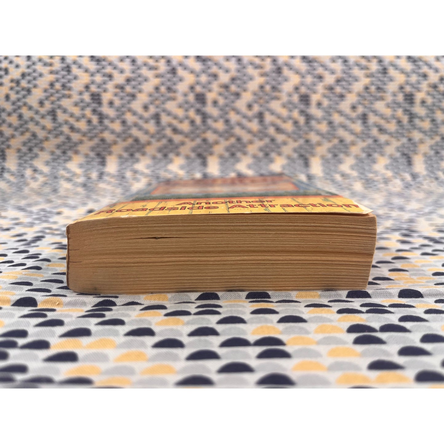 Another Roadside Attraction - Tom Robbins - Bantam Books -  Paperback