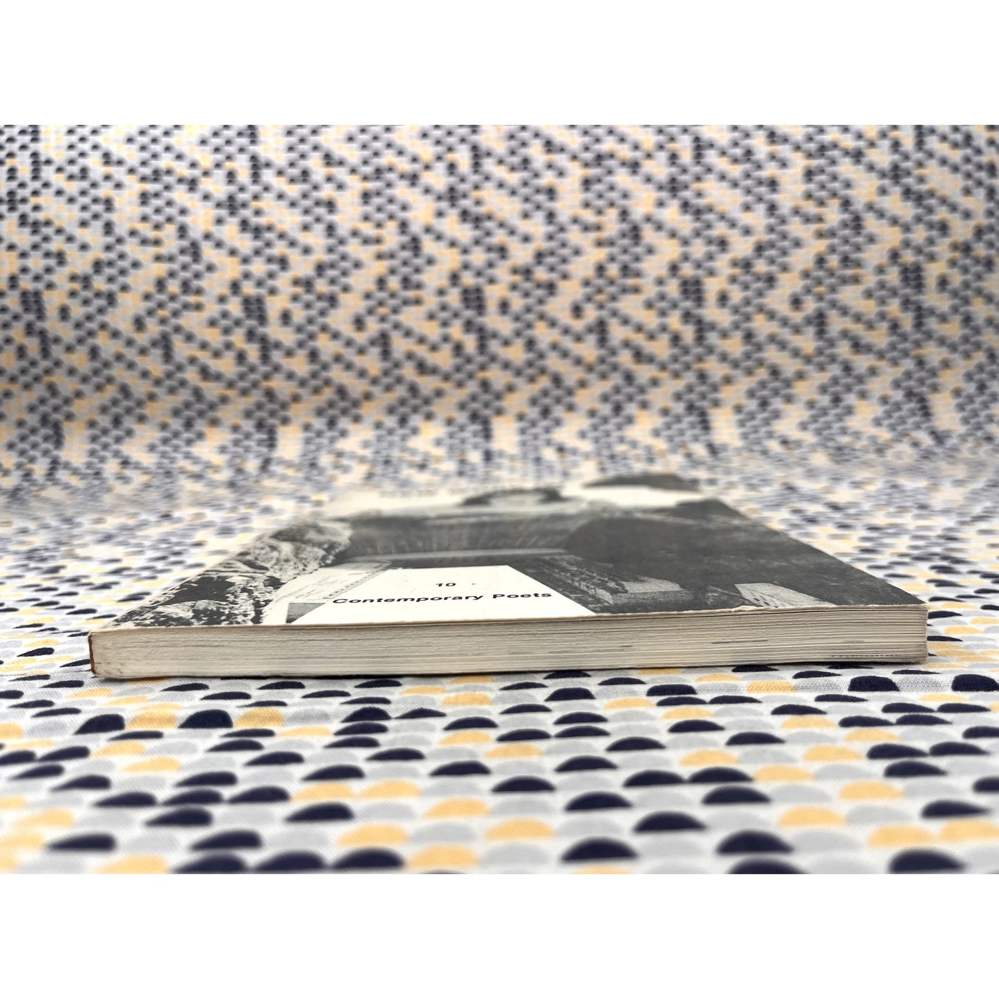 New Work(S): 10 Contemporary Poets - Duck Down Books - Paperback