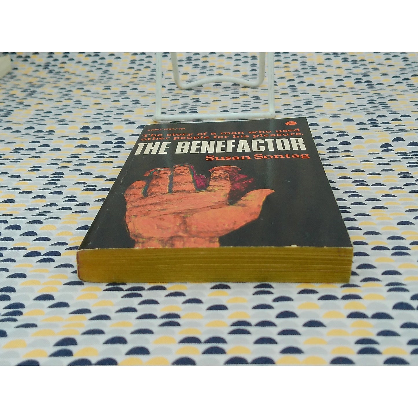 The Benefactor - Susan Sontag - Vintage Paperback Book - 75 cent Avon Edition