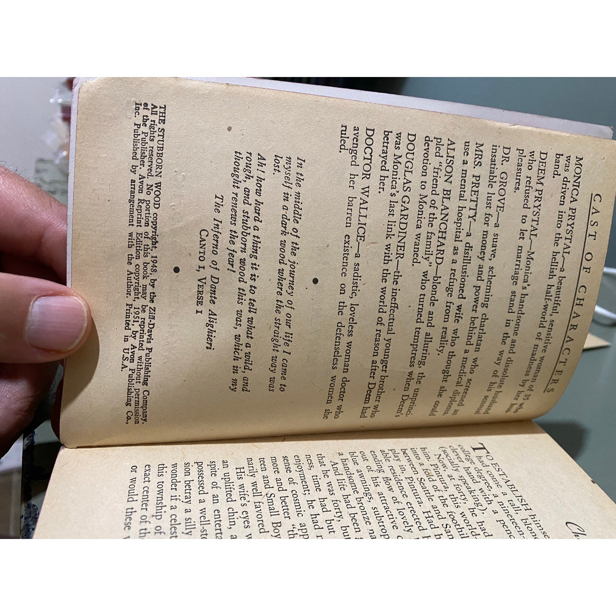 Madwoman? (The Stubborn Wood) - Emily Harvin - Avon 276 - Vintage Paperbacks