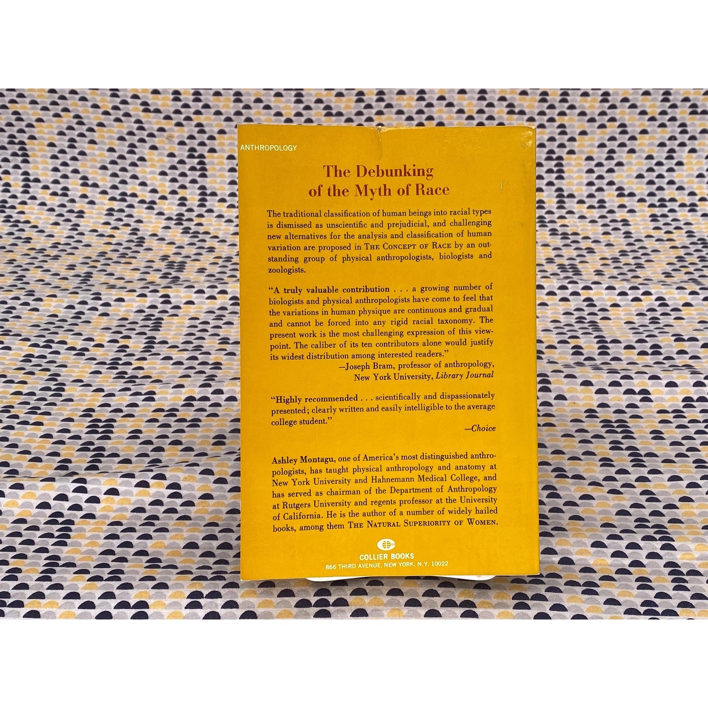 The Concept Of Race - Ashley Montagu, editor - Vintage Paperback Book - Collier-Macmillan Limited Edition