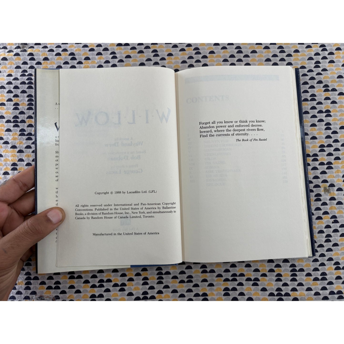 Willow - Wayland Drew - Del Rey - Hardcover