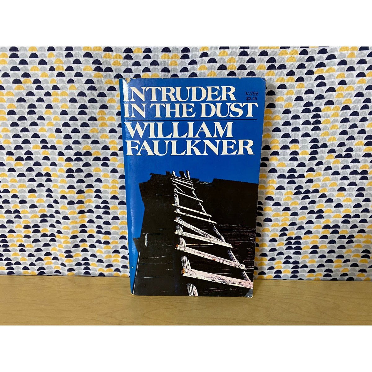 Intruder in the Dust - William Faulkner - Vintage Paperback Book
