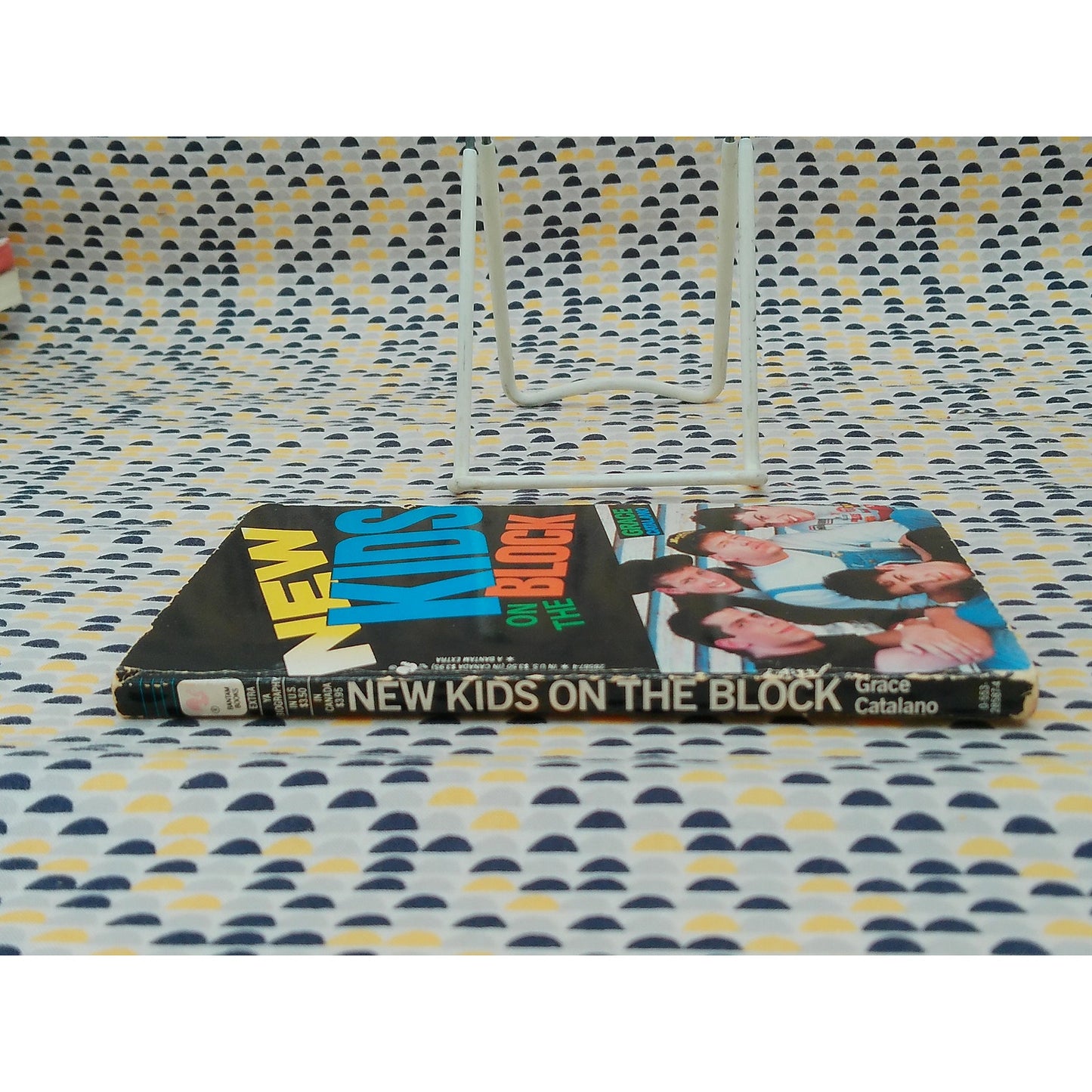 New Kids On The Block - Grace Catalano - Vintage Paperback Book - Bantam Edition
