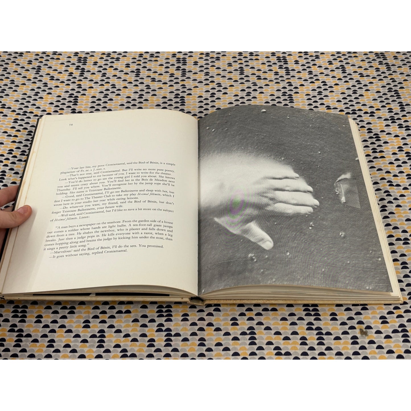 The Poet Assassinated - Guilaume Apollinaire & Jim Dine - Holt, Rinehart and Winston - Hardcover
