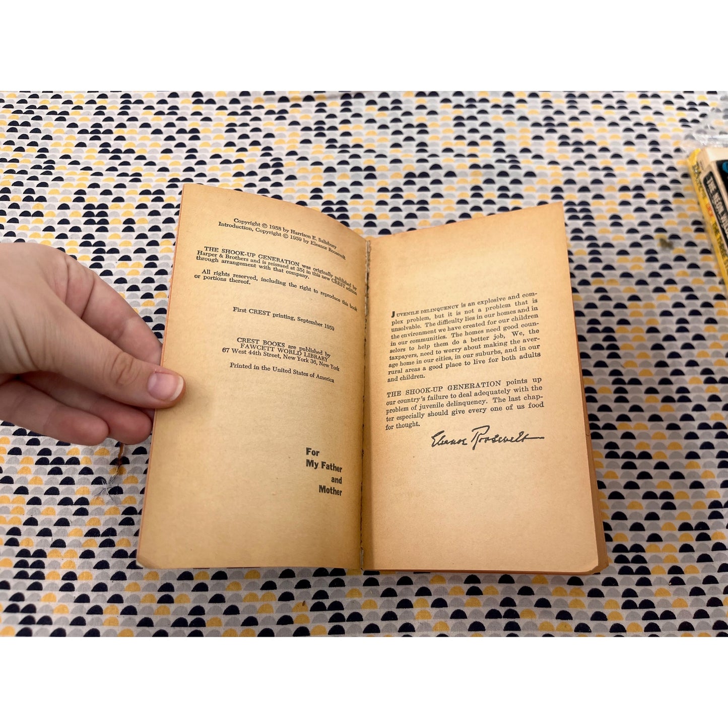 The Shook-Up Generation - Harrison E. Salisbury - Crest Books - Paperback