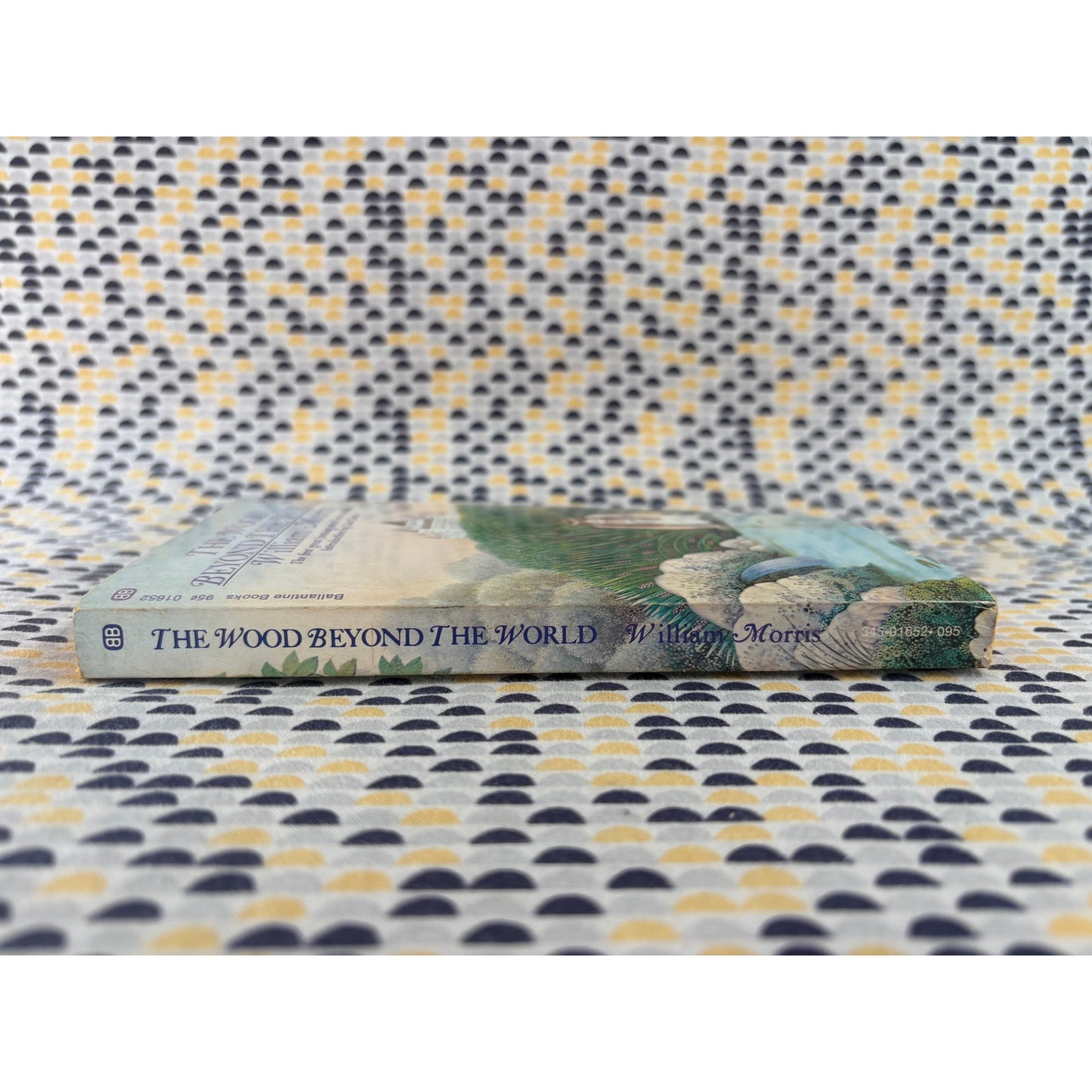 The Wood Beyond The World - William Morris - Vintage Paperback Book - Ballantine Adult Fantasy Edition