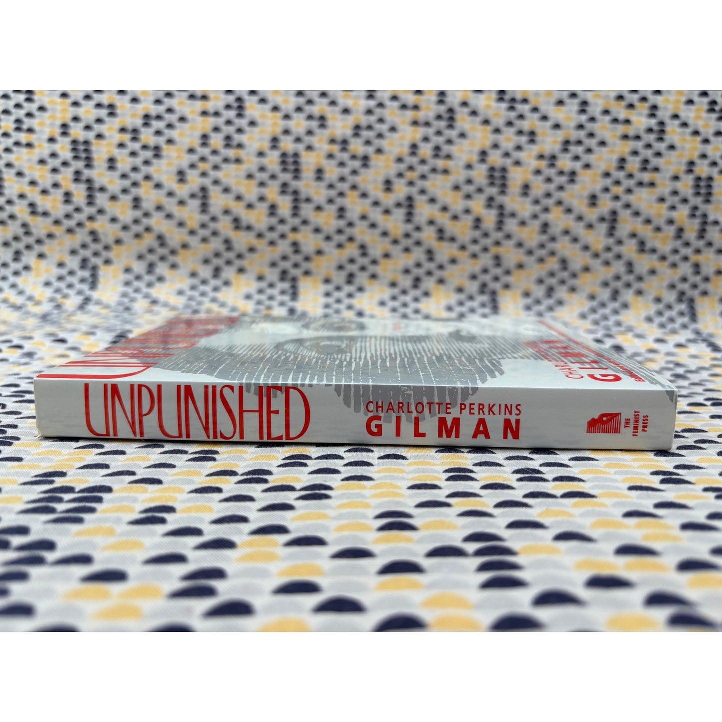 Unpunished - Charlotte Perkins Gilman - The Feminist Press - Paperback