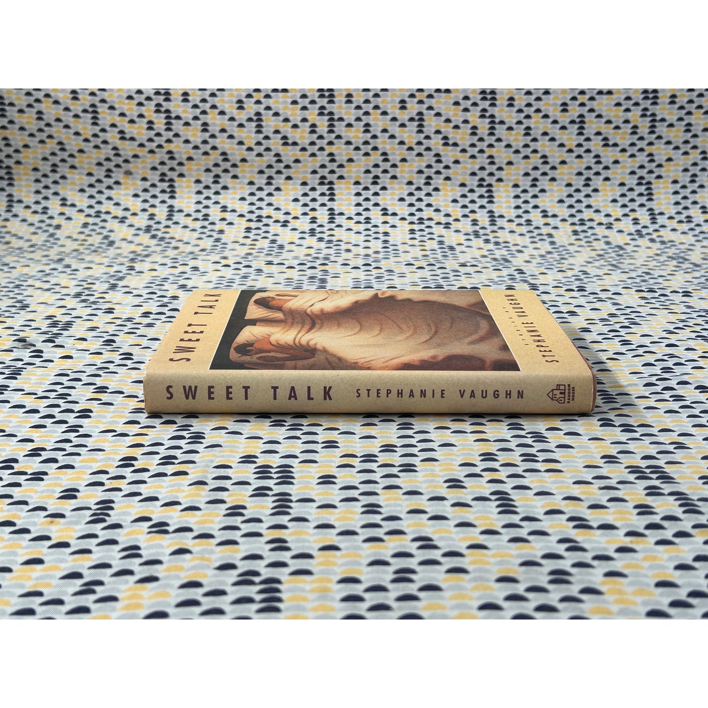 Sweet Talk - Stephanie Vaughn - Random House - Hardcover