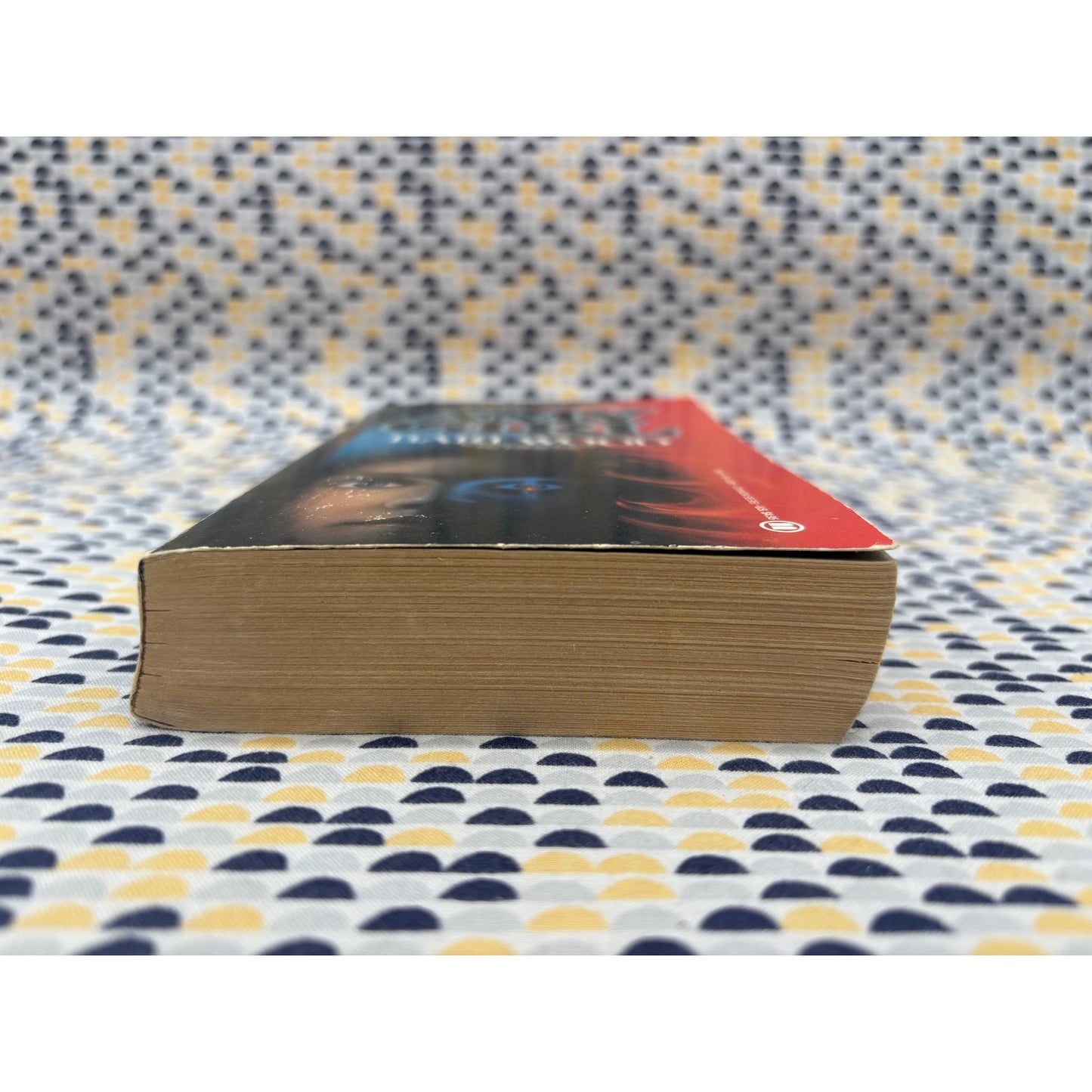 Amylgirl - Bari Wood - Onyx - Paperback