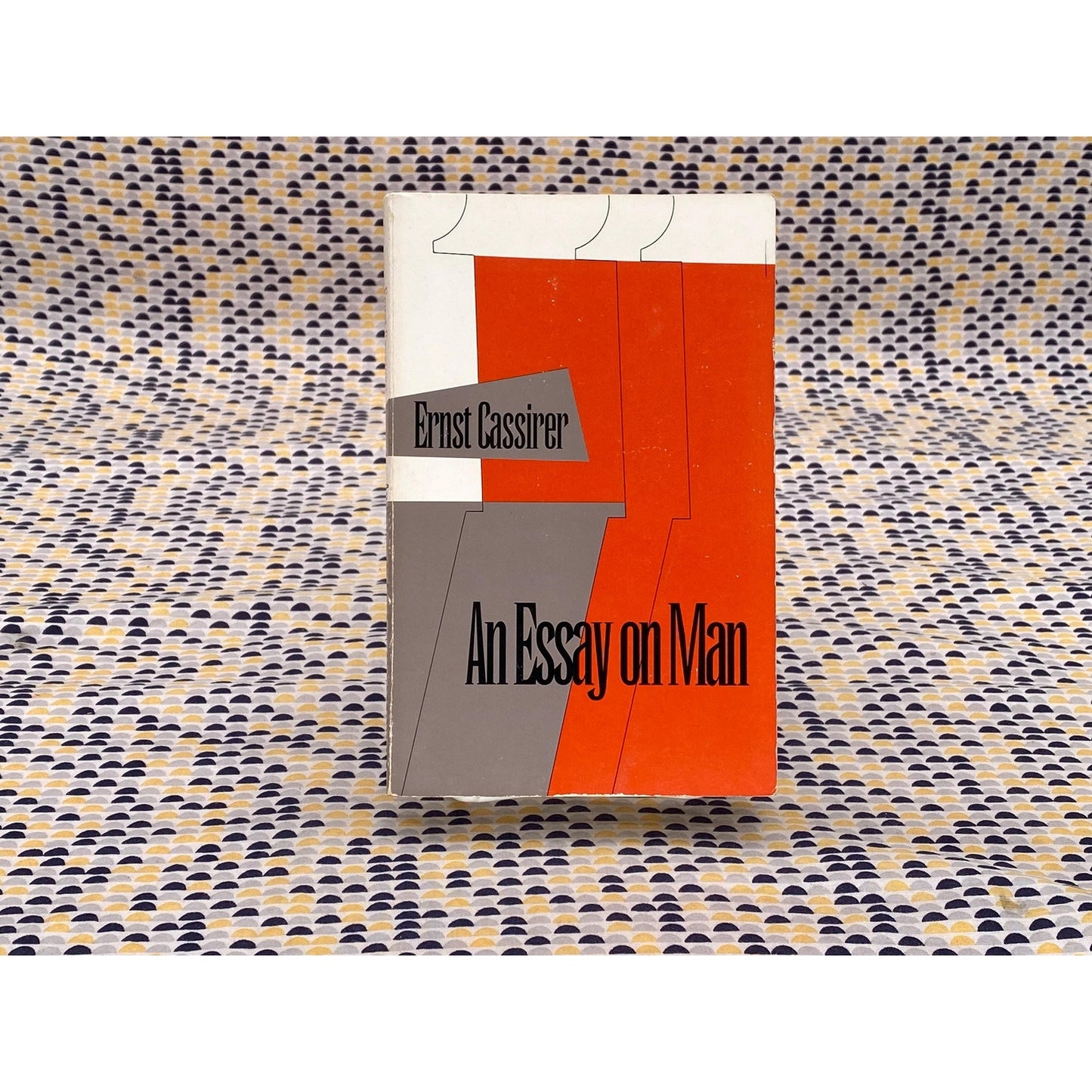 An Essay on Man - Ernst Cassirer  - 95 cent Bantam Matrix Edition