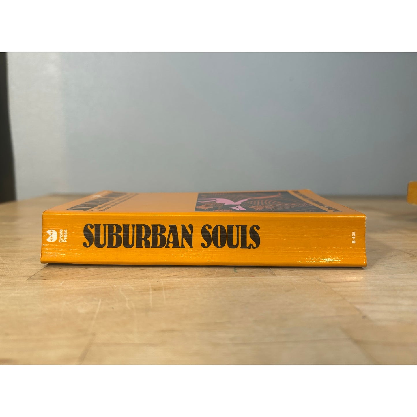 Suburban Souls - The Erotic Psychology of a Man and a Maid - Vintage Paperback Book -  Grove Press Edition