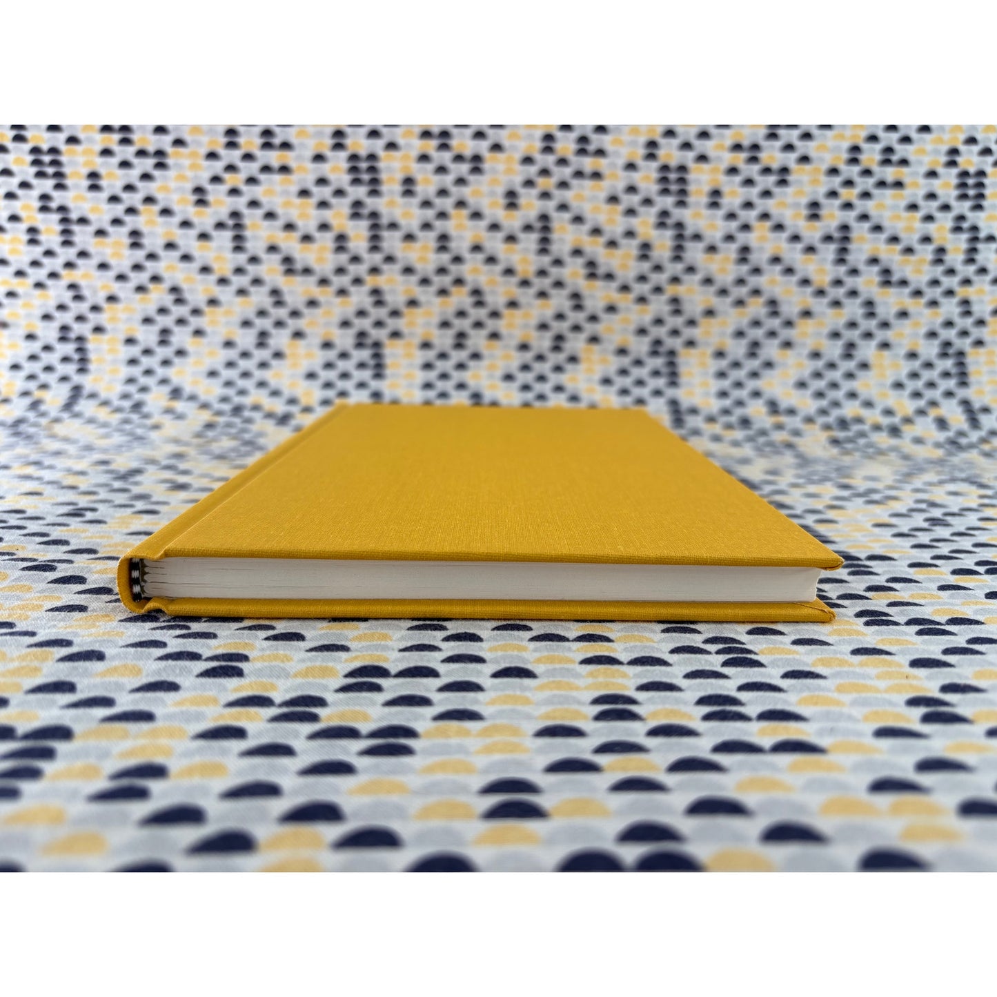 Suicide Prohibition - Thomas Szasz - Syracuse - Hardcover