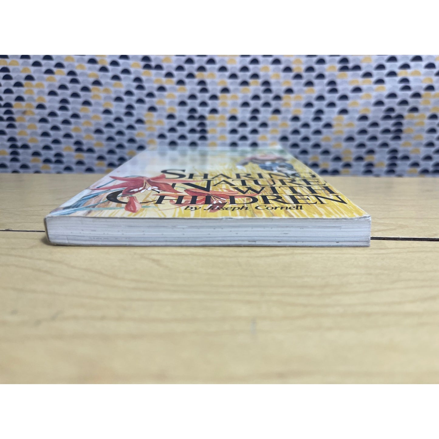 Sharing Nature with Children - Joseph Cornell - Dawn Books - Paperback