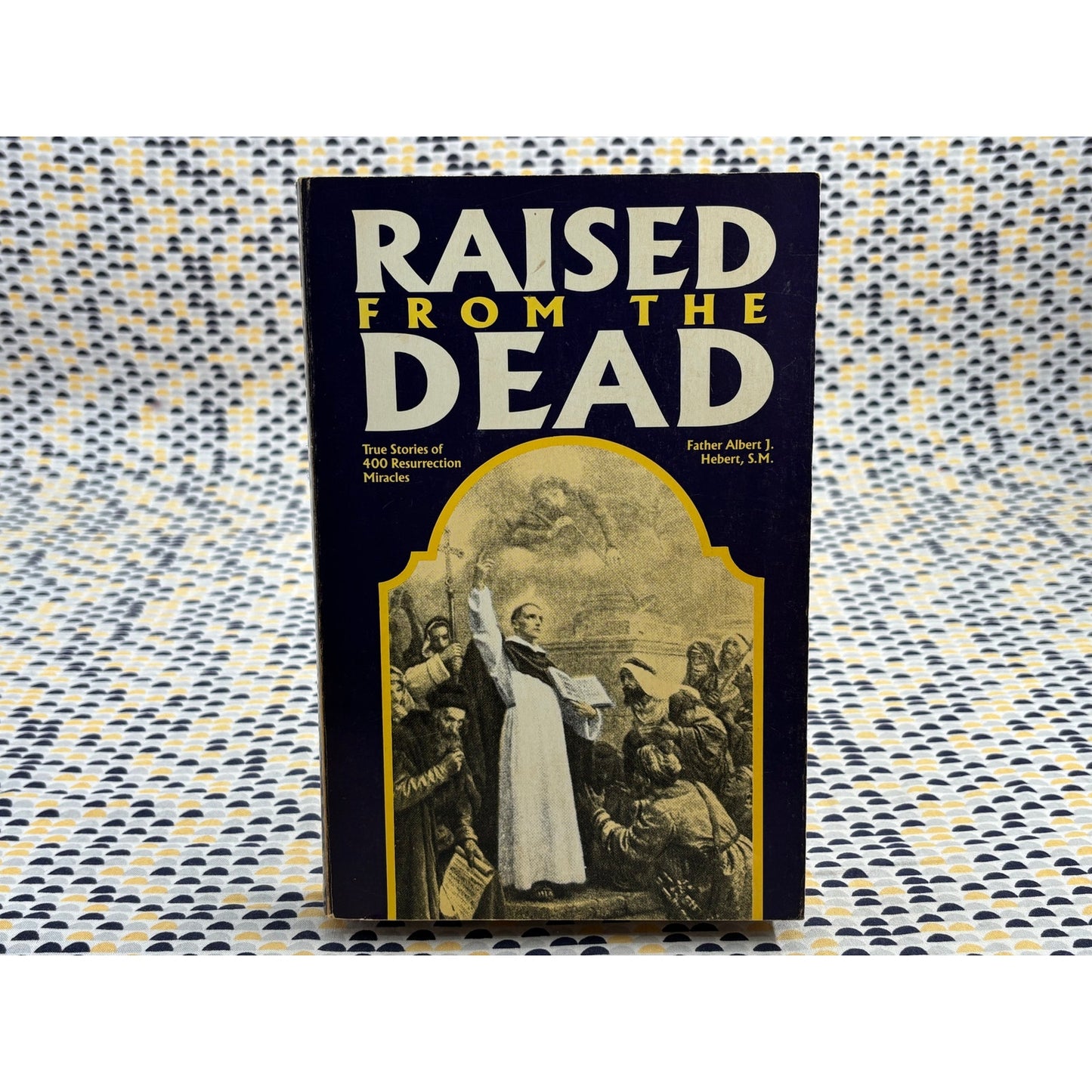 Raised From the Dead - Albert J. Herbert - Tan Books - Paperback