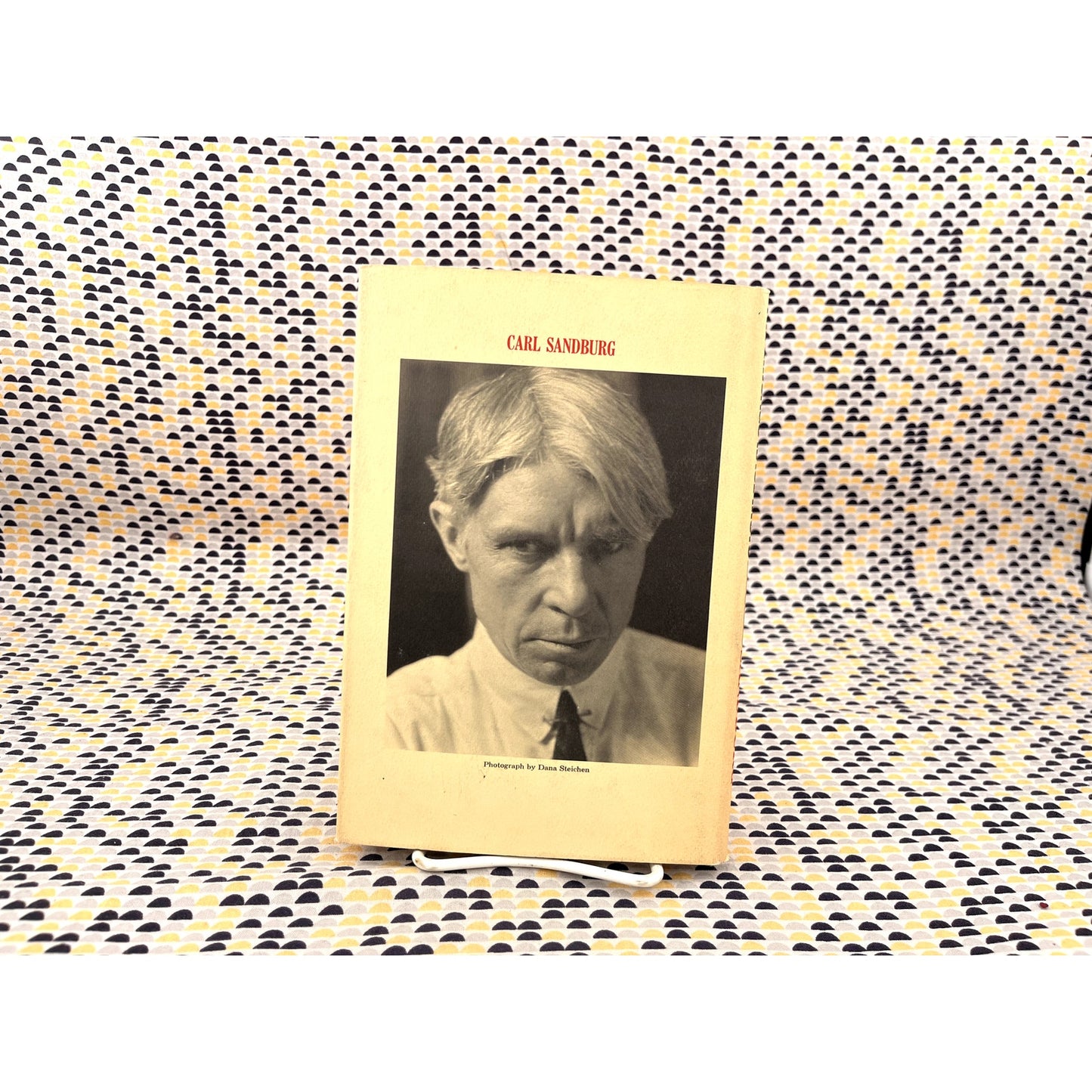 The Chicago Race Riots: July, 1919 - Carl Sandburg - Harcourt, Brace & World Books - Hardcover