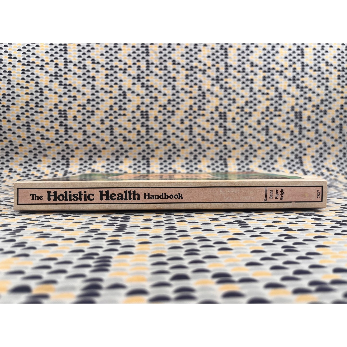 The Holistic Health Handbook - Berkeley Holistic Health Center- And/Or Press - Paperback