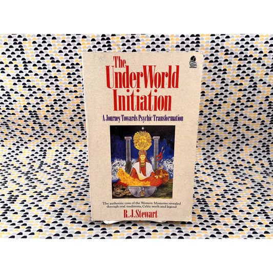 The Under World Initiation : A Journey Towards Psychic Transformation - Paperback