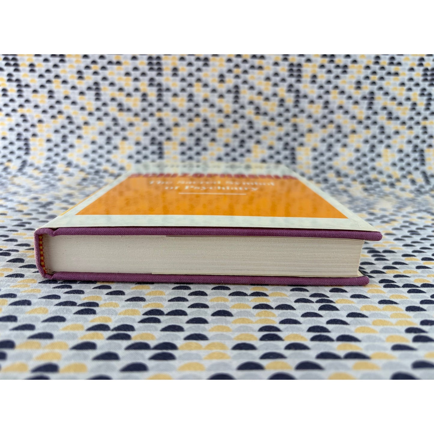 Schizophrenia - Thomas Szasz - Basic Books - Hardcover