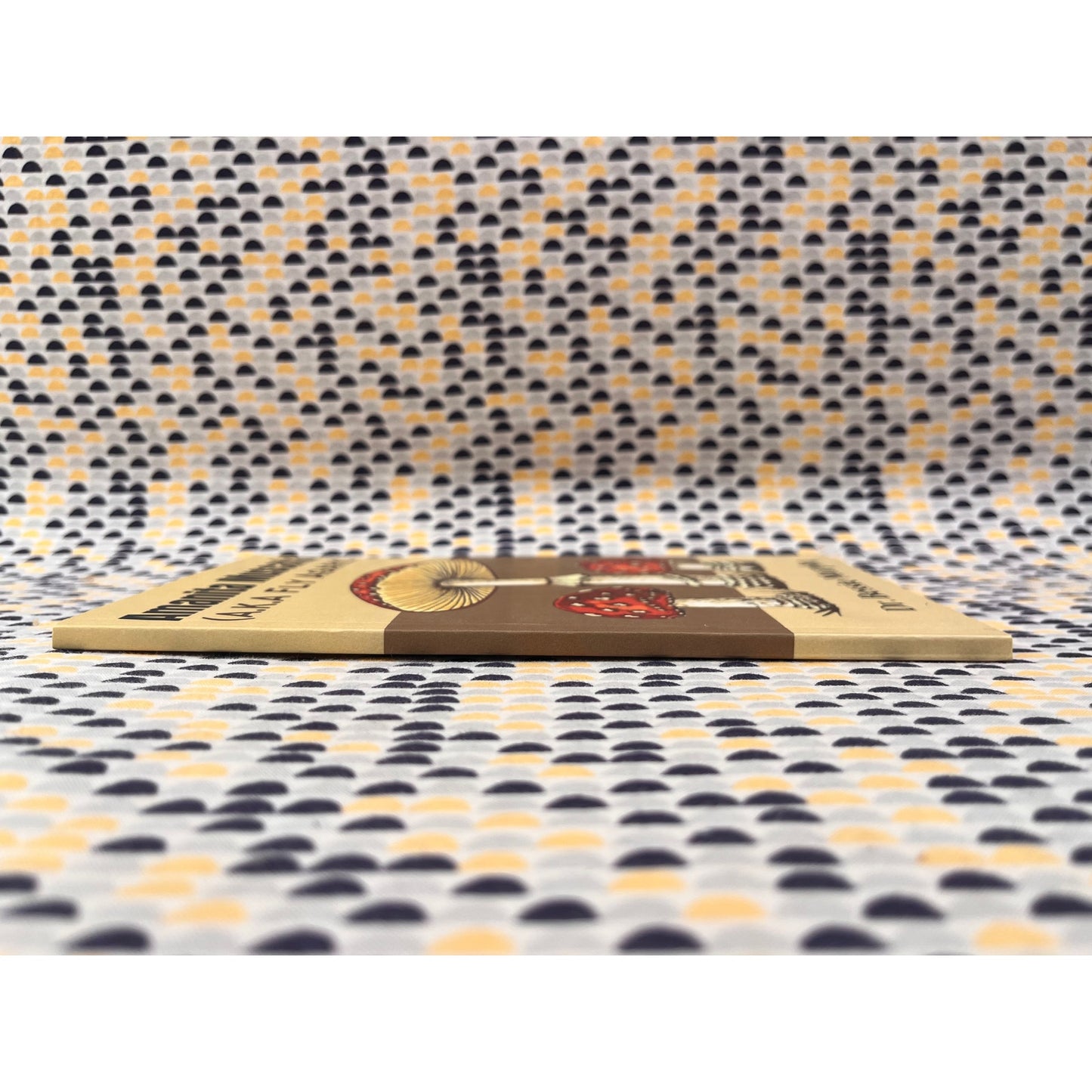 Amanita Muscaria - AKA Fly Agaric - Dr. Bessie Murphy - Paperback