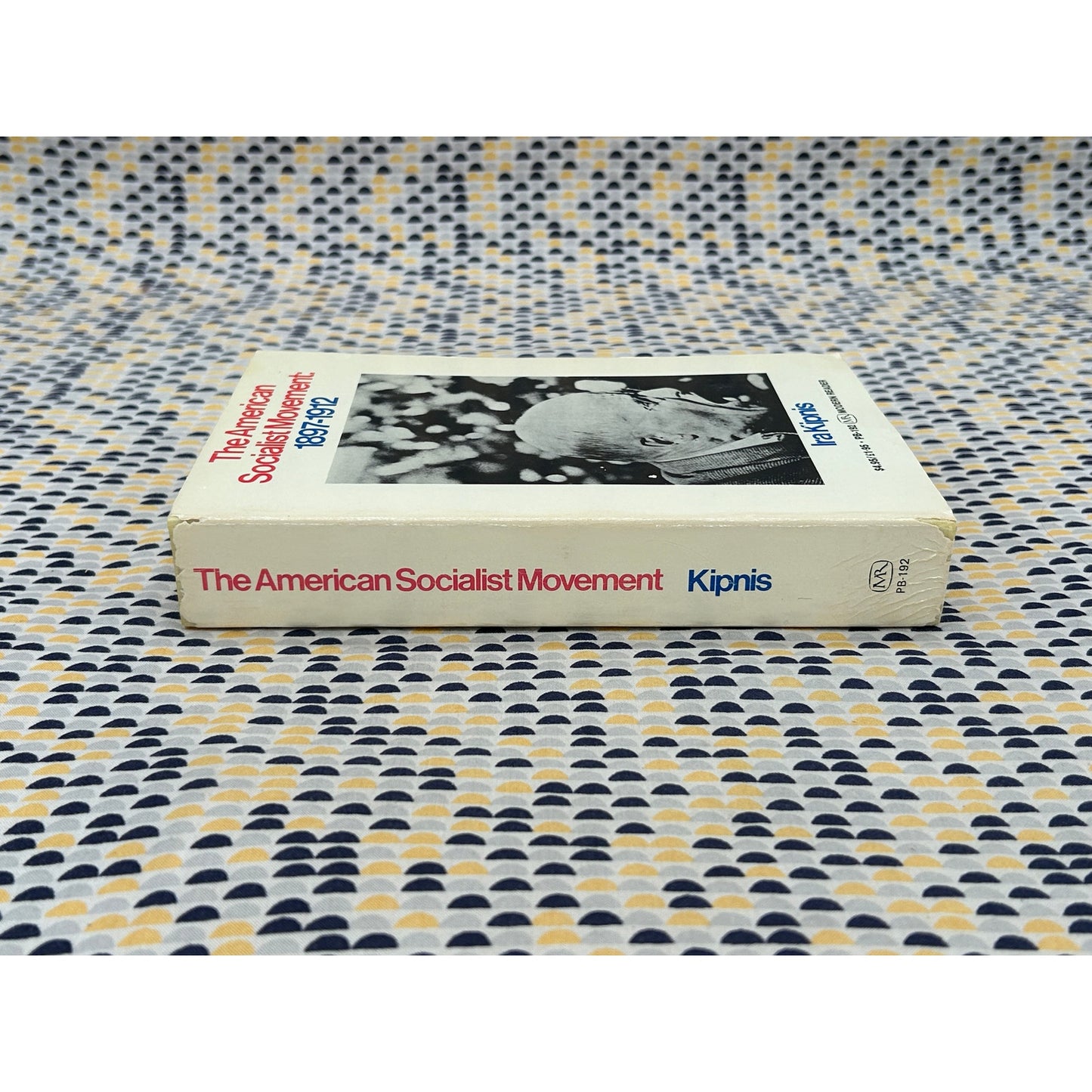 The American Socialist Movement - Ira Kipnis - Modern Reader - Paperback