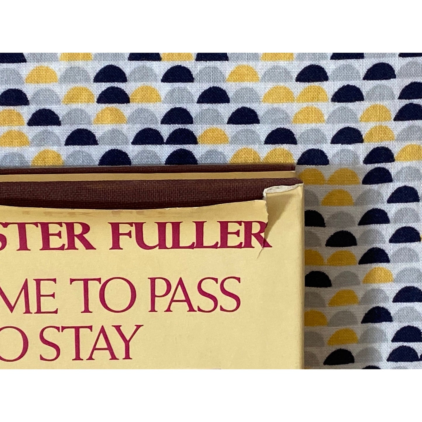 And It Came to Pass - Not to Stay - R. Buckminster Fuller - Macmillan Publishing