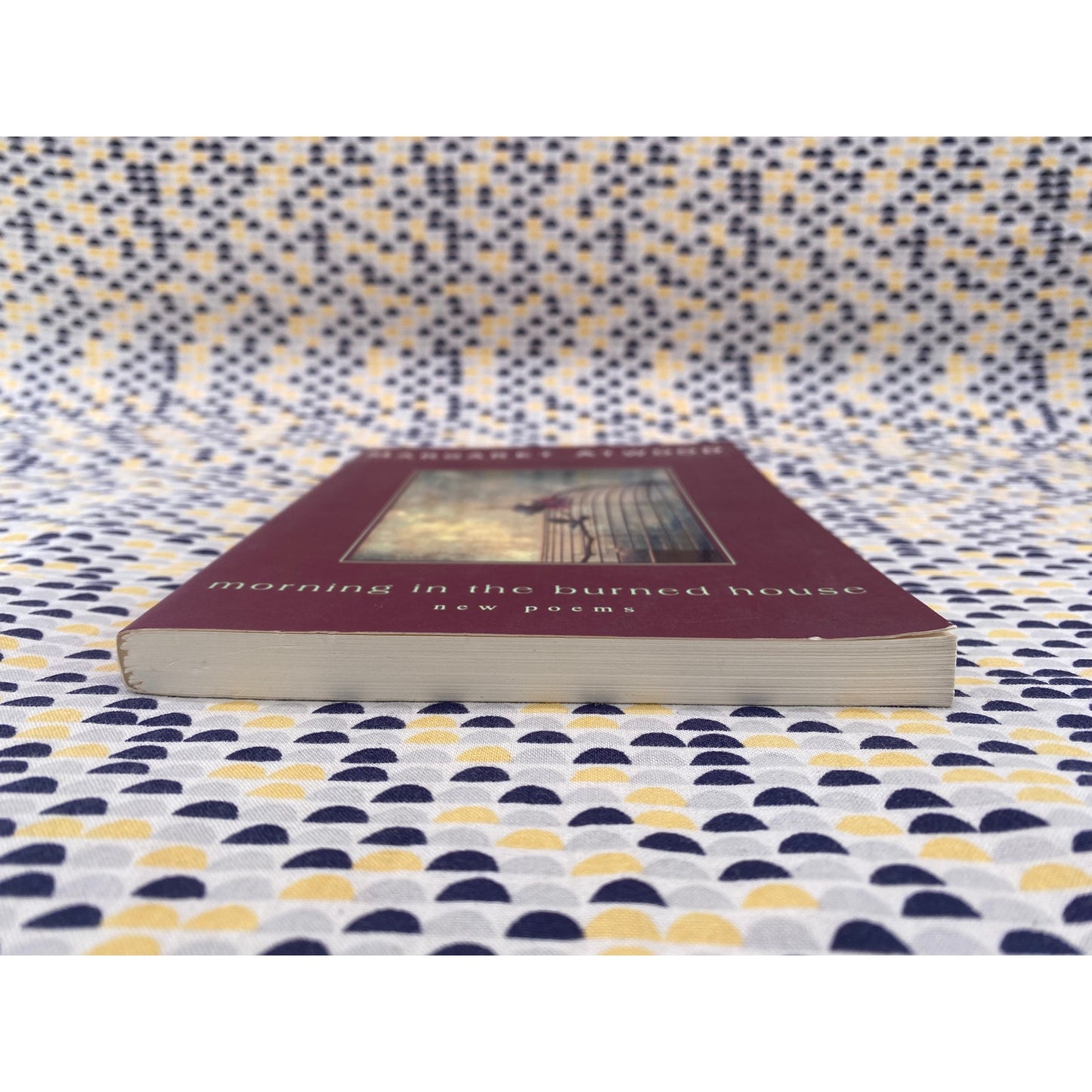 Morning In The Burned House - Margaret Atwood - Houghton Mifflin - Paperback