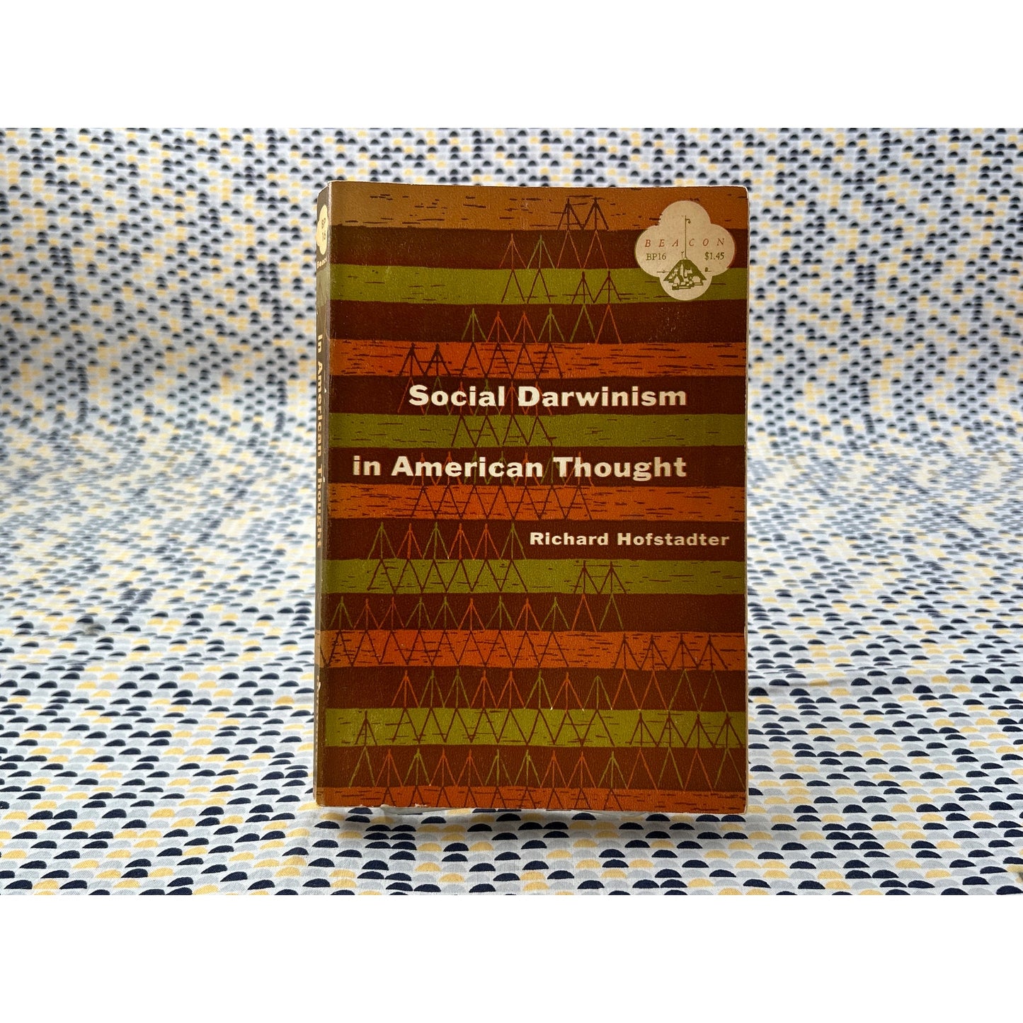 Social Darwinism in American Thought - Richard Hofstadter - Vintage Paperback Book - Beacon Press