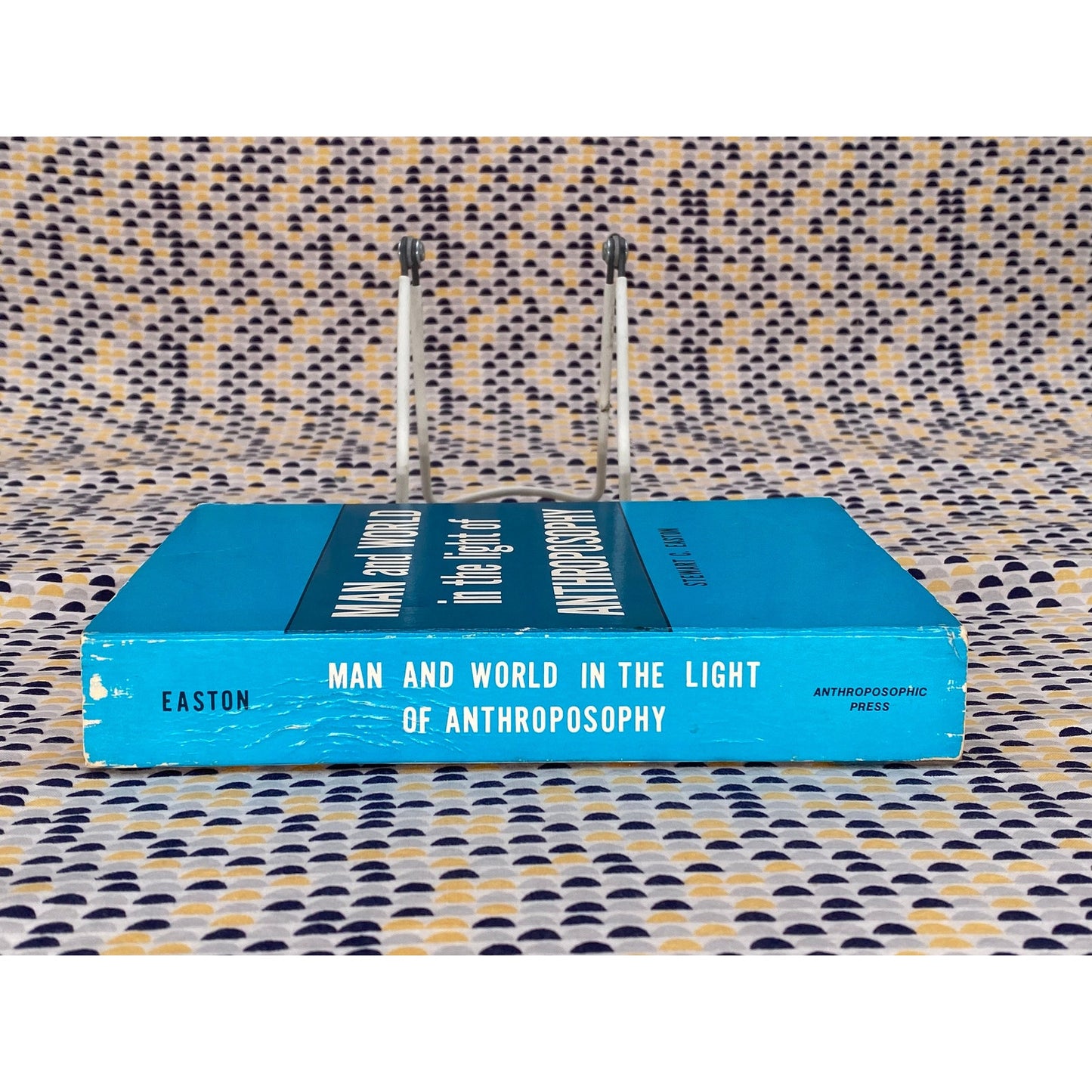 Man And The World In The Light Of Anthroposophy - Stewart C. Easton