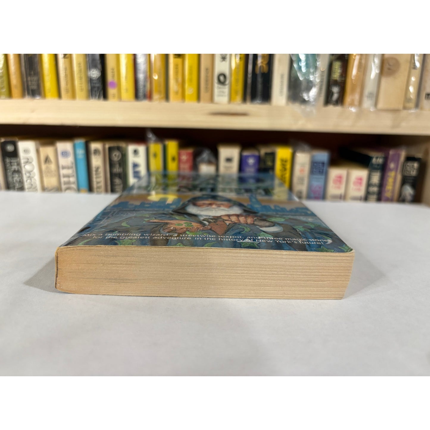 The Wizard Of 4th Street - Simon Hawke - Questar - Paperback