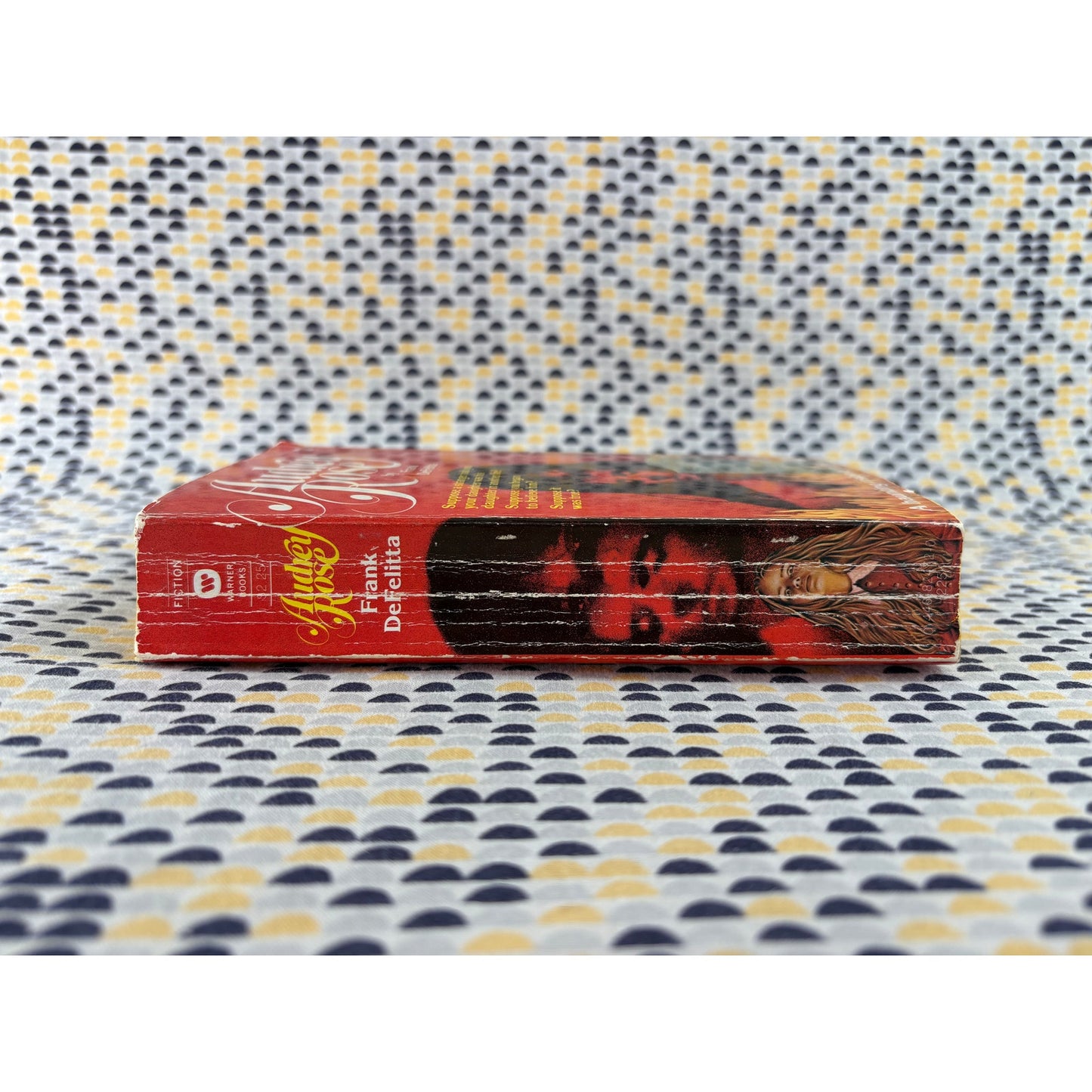 Audrey Rose - Frank Defelitta - Warner - Paperback