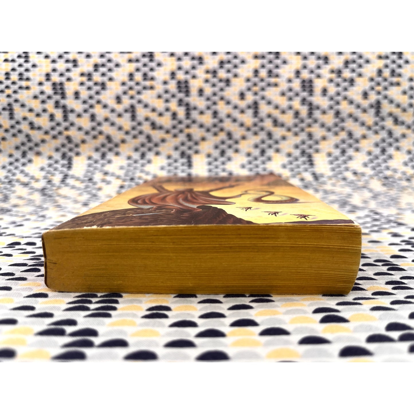 Dune - Frank Herbert - Ace Books - Paperback