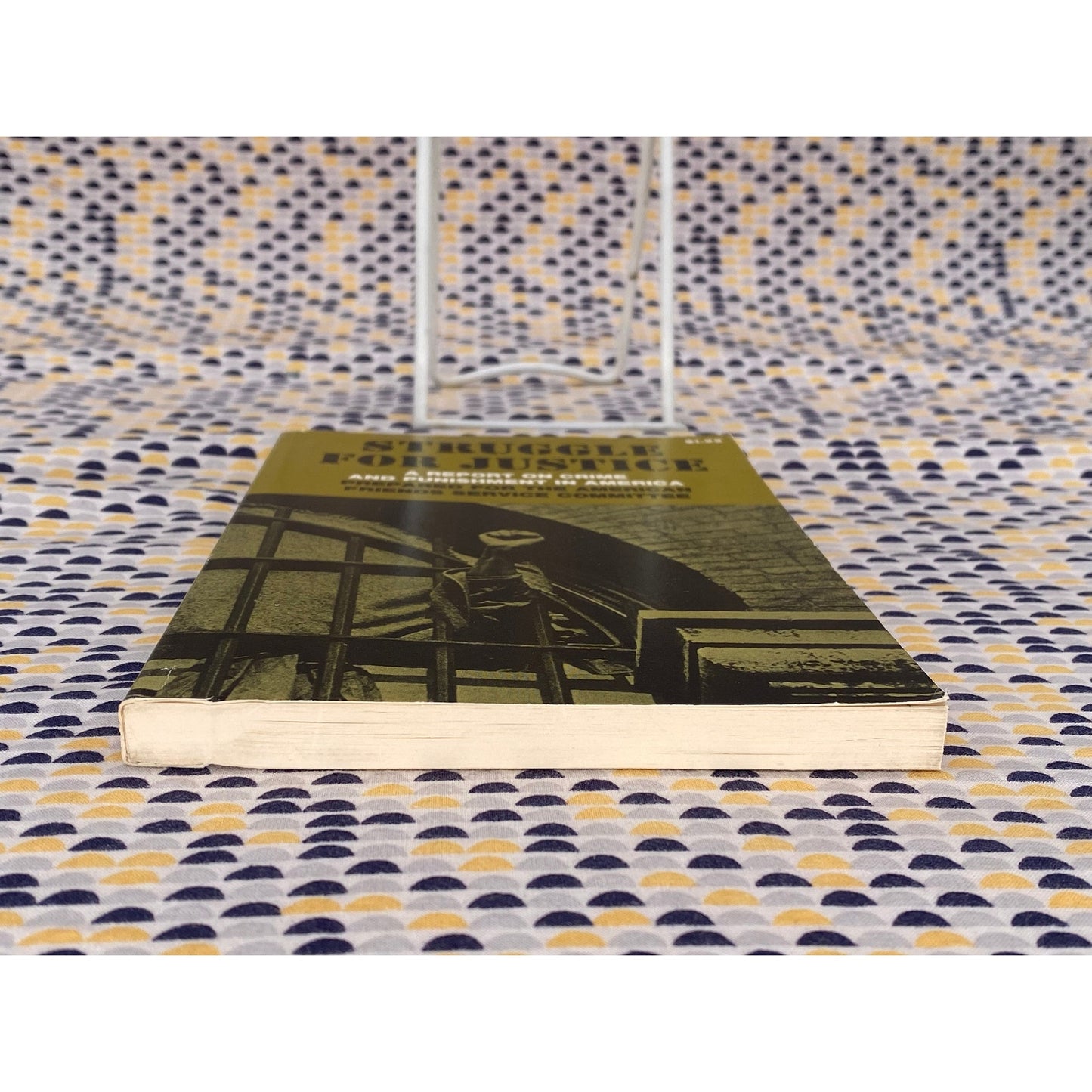 Struggle For Justice: A Report On Crime And Punishment In America