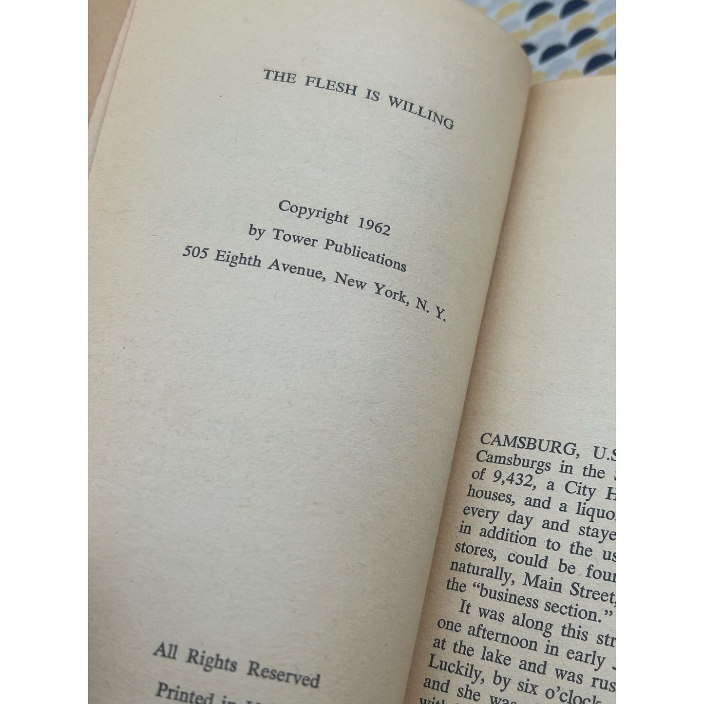 The Flesh is Willing - Dorcas Knight  - Midwood F156 - Lesbian Pulp - Sleaze - Vintage Paperbacks